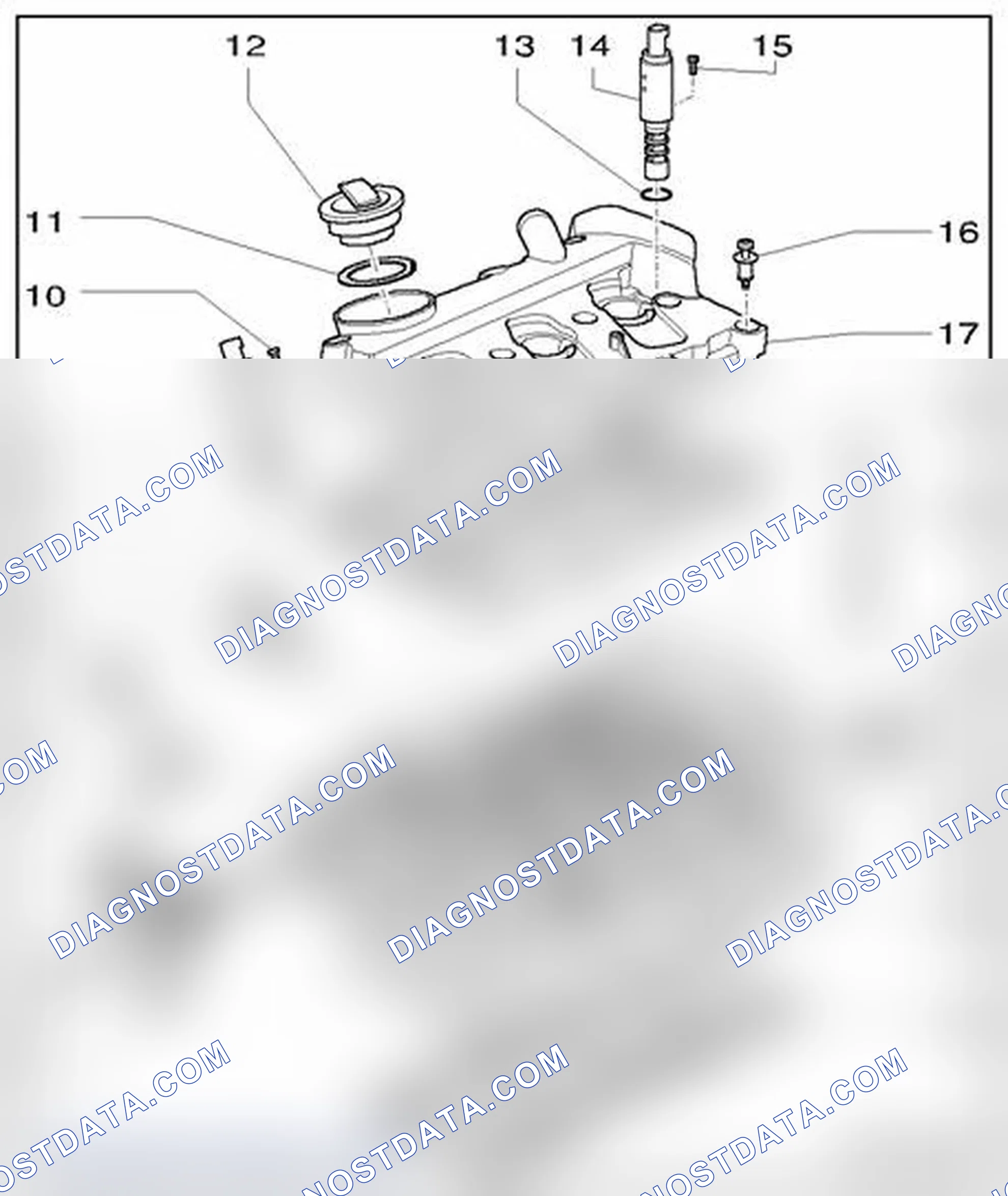 Scheme 556