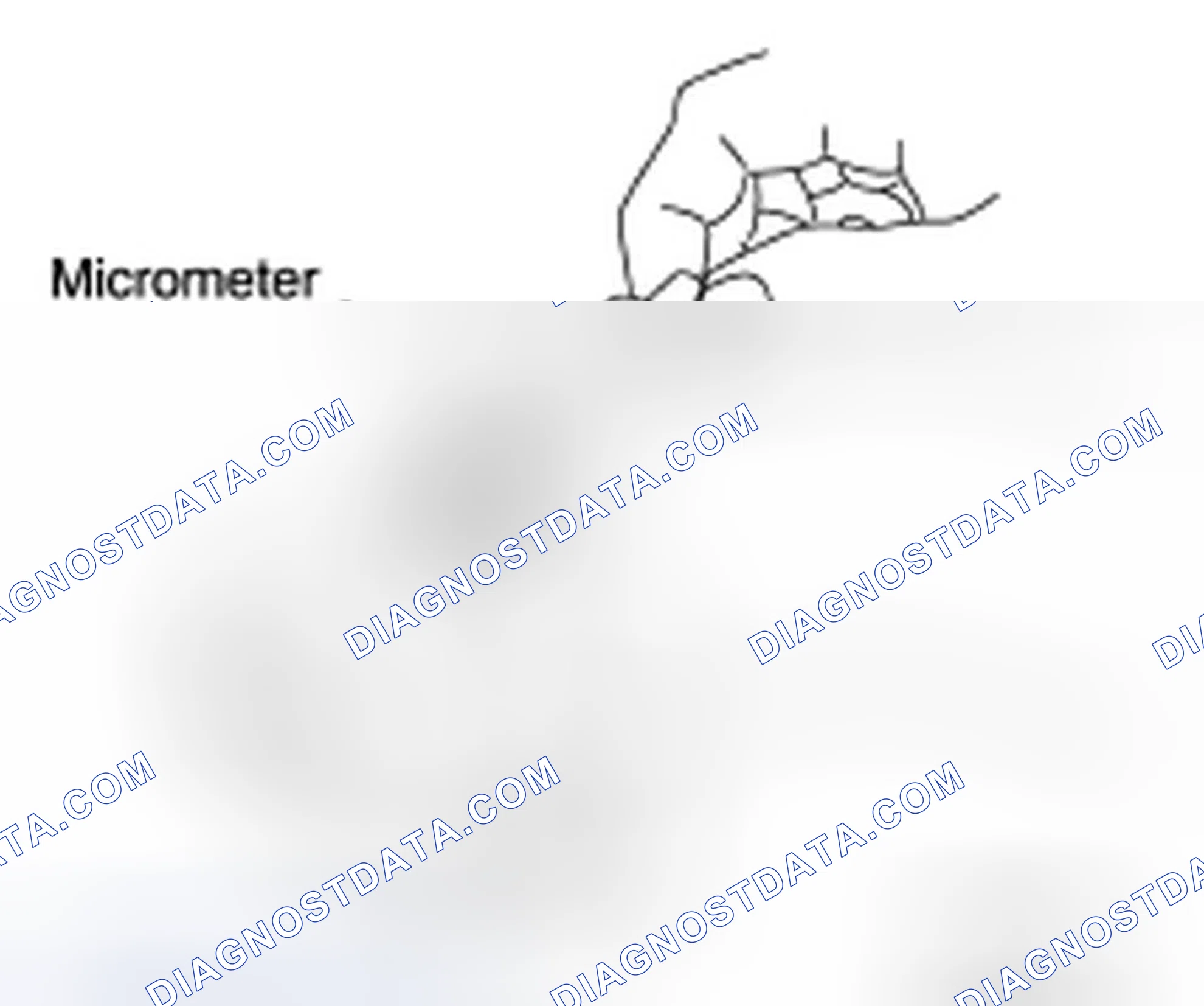 Scheme 8
