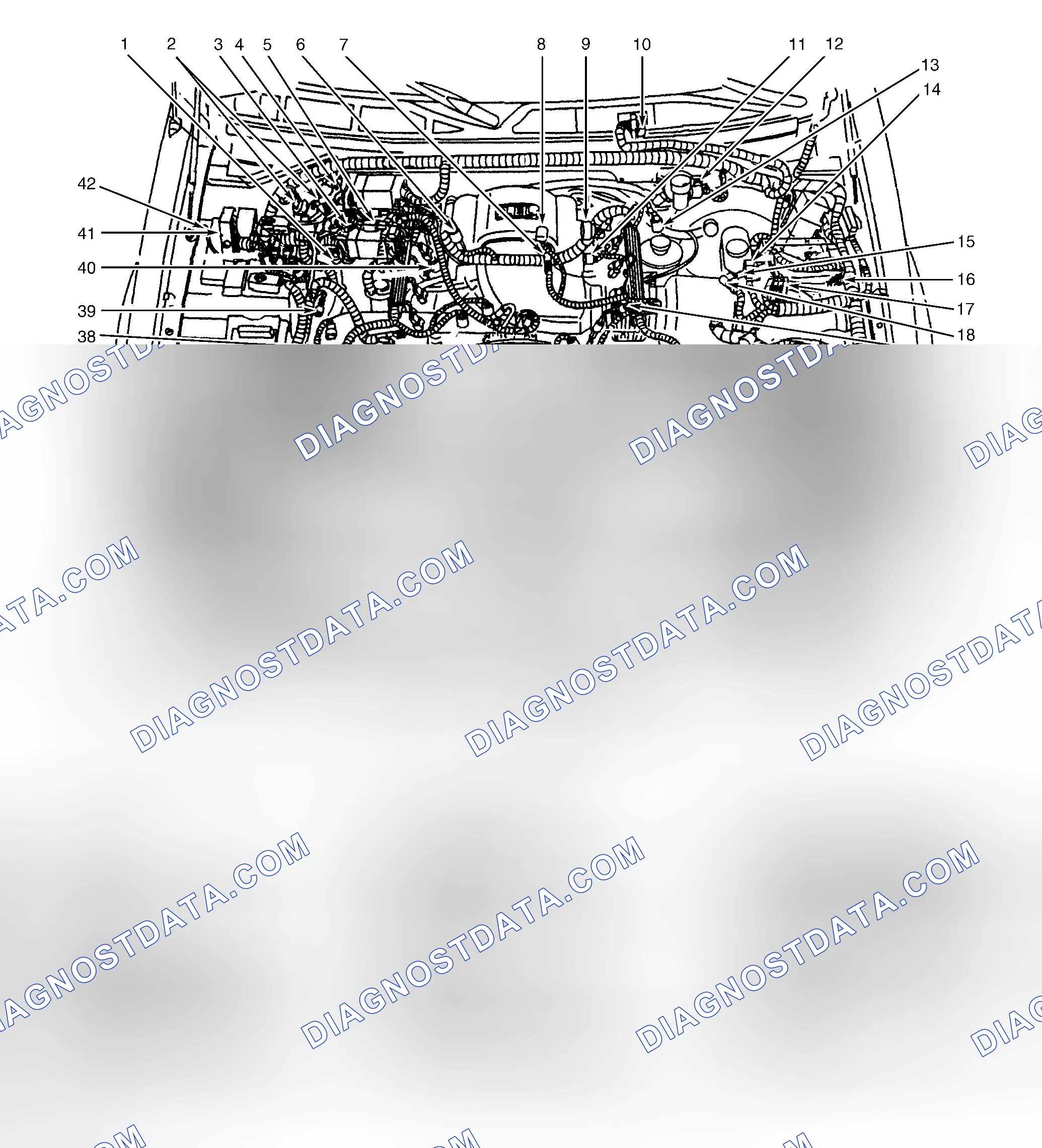 Scheme 1: Engine Compartment (4.6L)