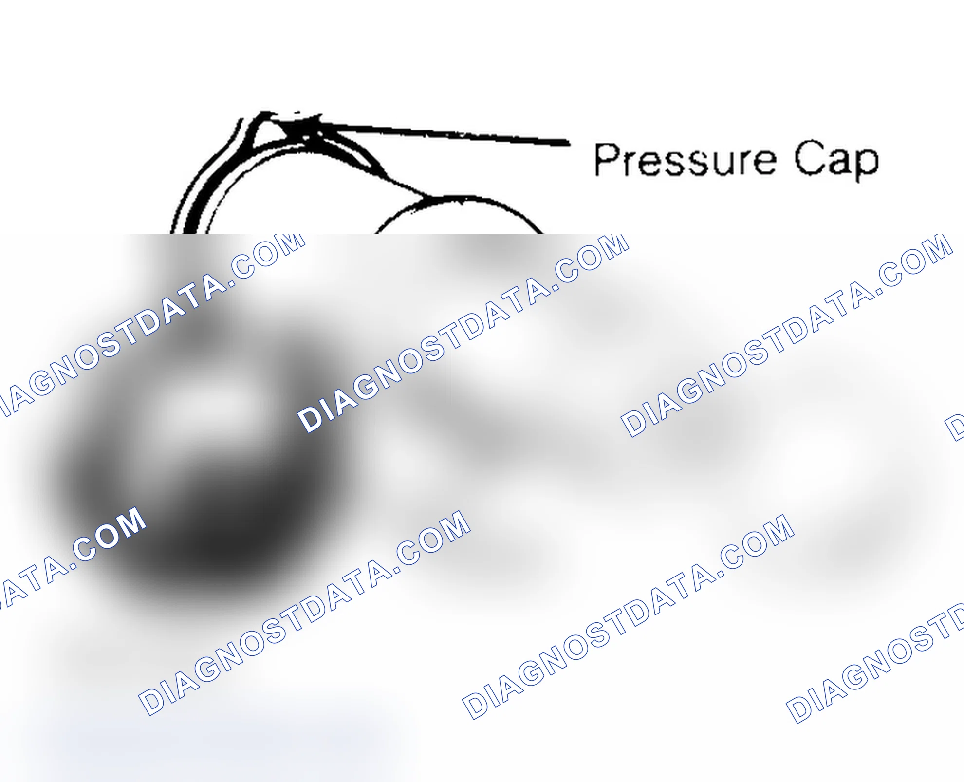 Scheme 2: Pressure Testing Radiator Cap