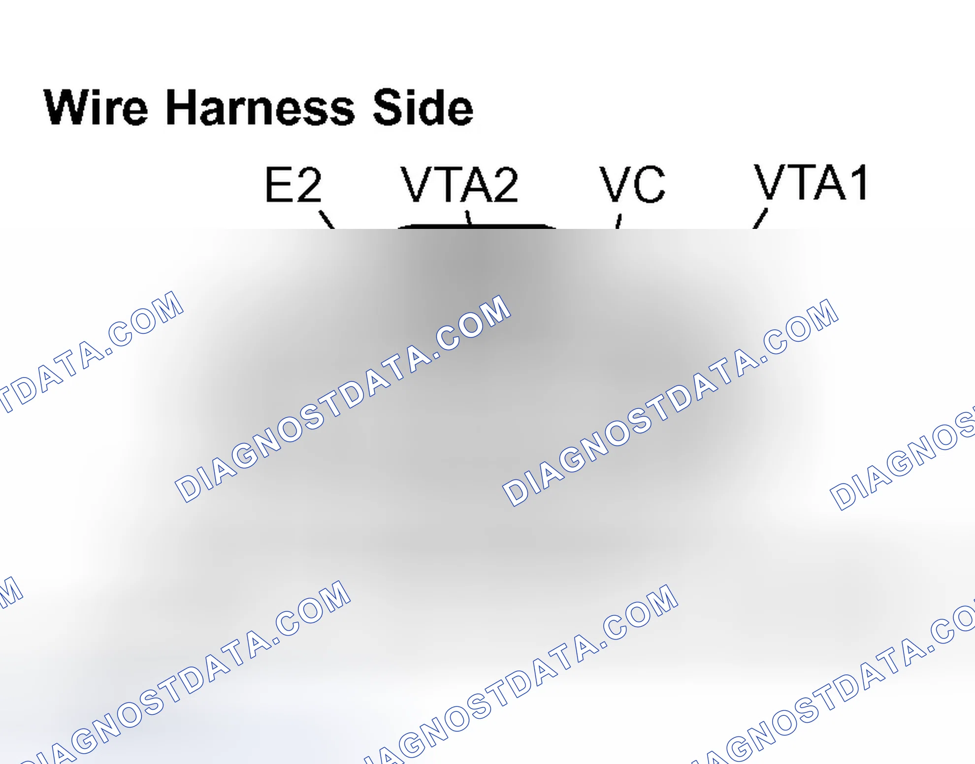 Scheme 367