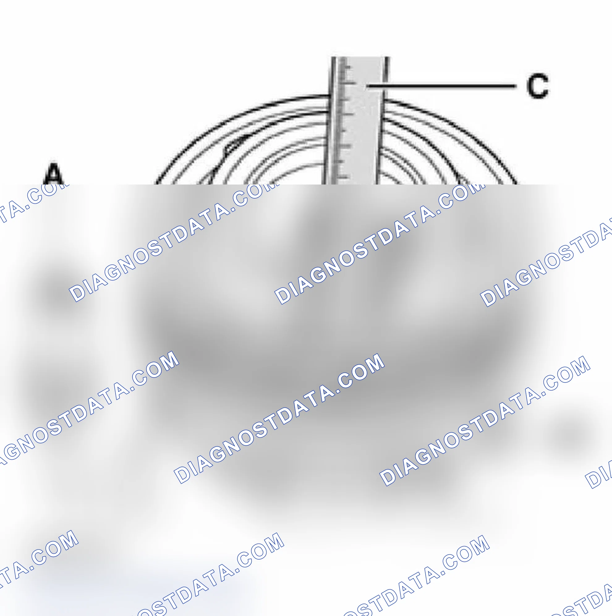 Scheme 19