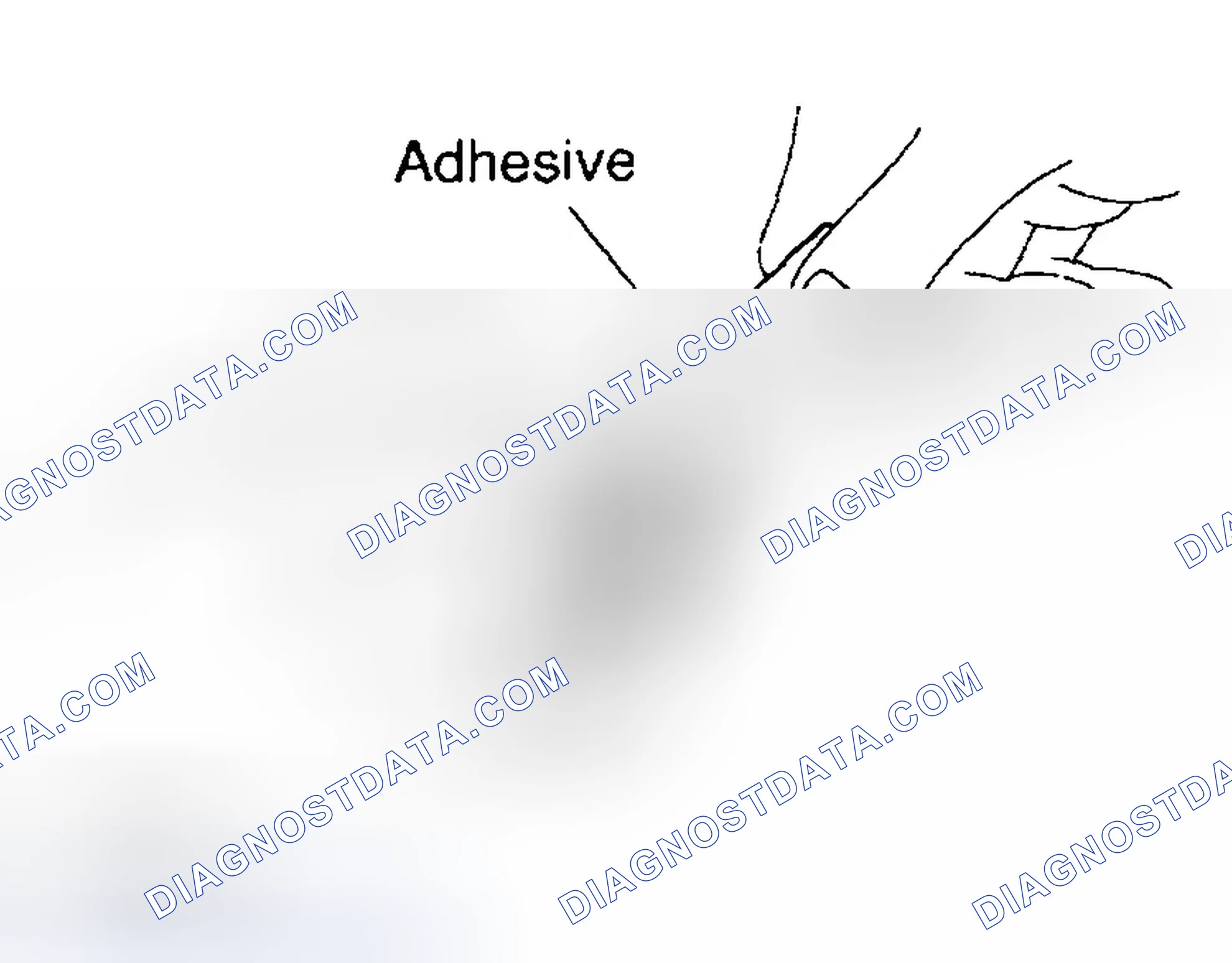 Scheme 307