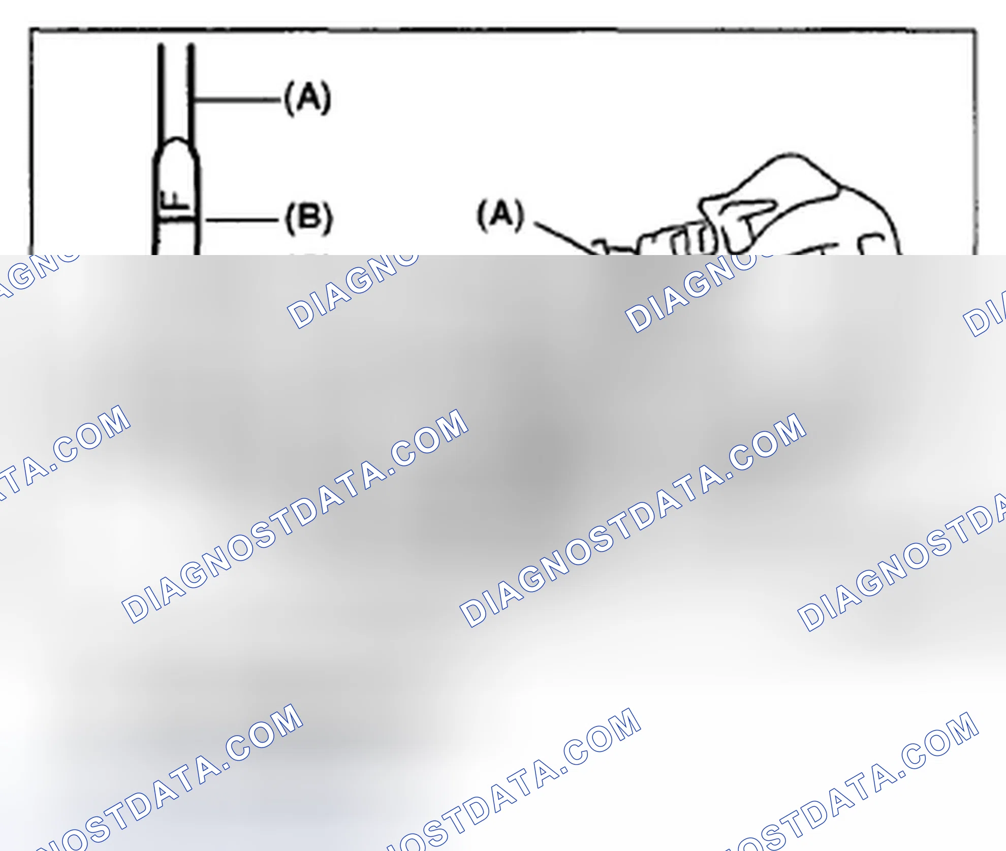 Scheme 82: FRONT DIFFERENTIAL OIL LEVEL