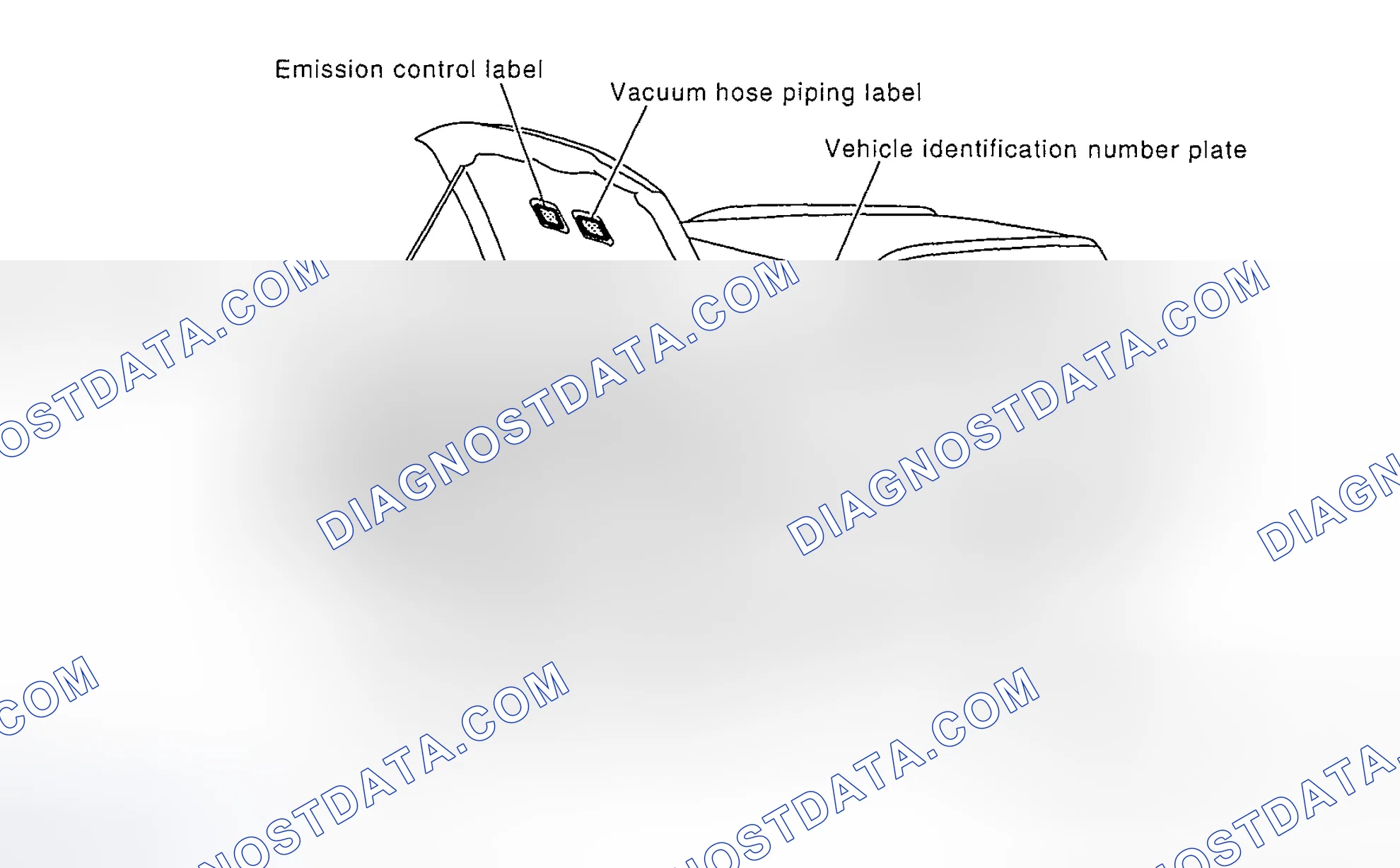 Scheme 1: IDENTIFICATION NUMBERS AND LABEL LOCATIONS