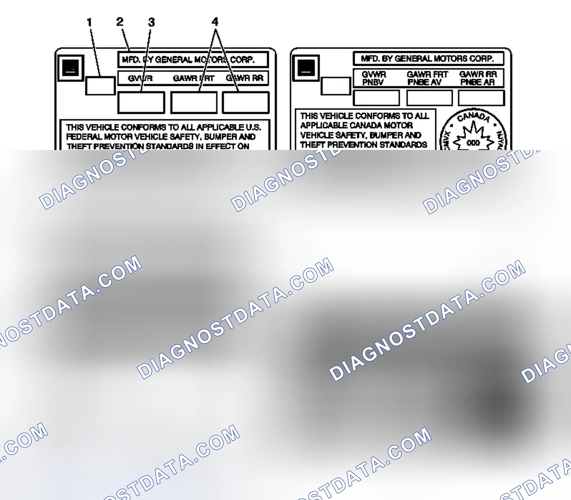 Scheme 2: Vehicle Certification, Tire Placard, Anti-Theft and Service Parts ID Label