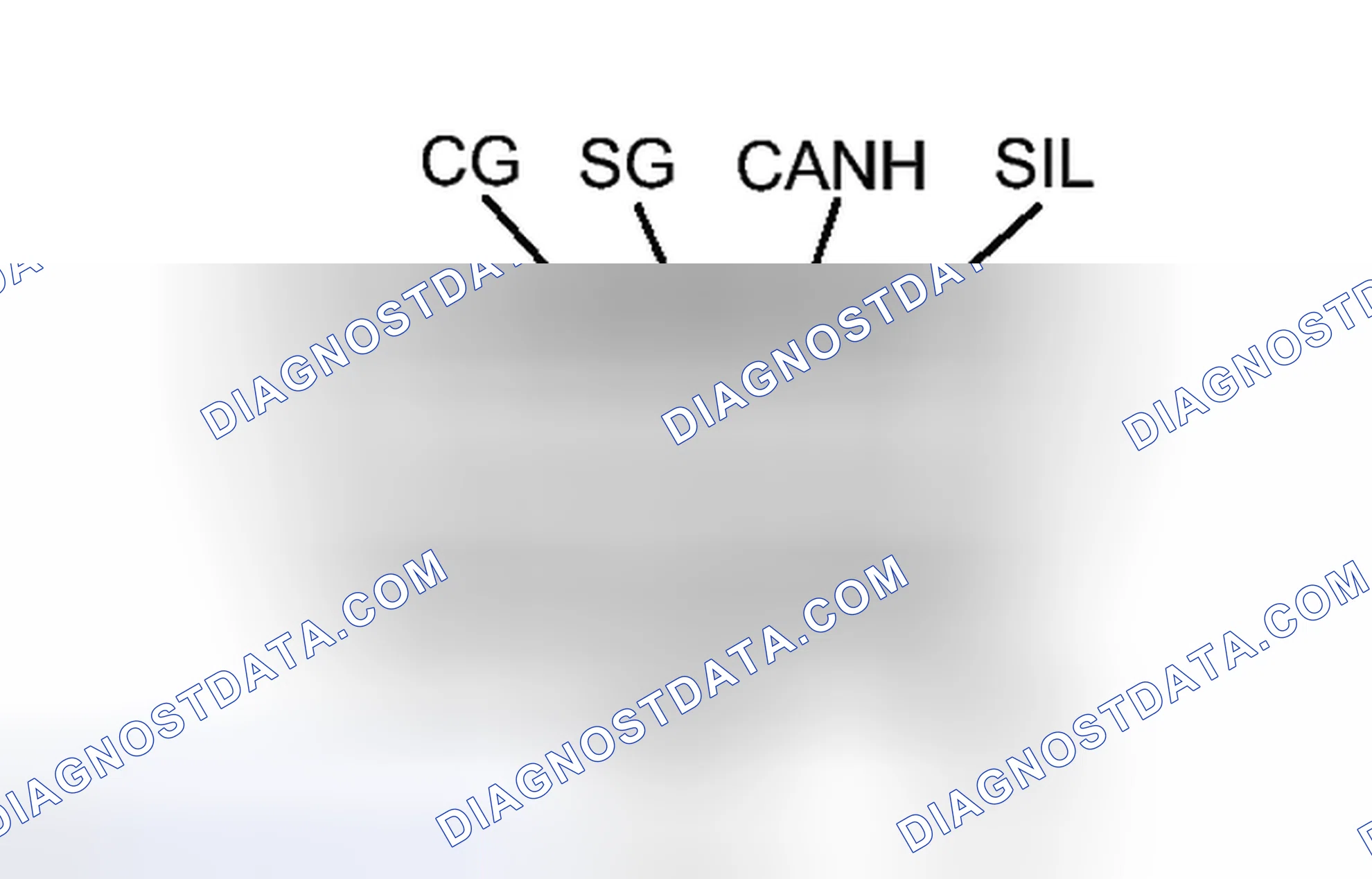 Scheme 12: DIAGNOSIS SYSTEM