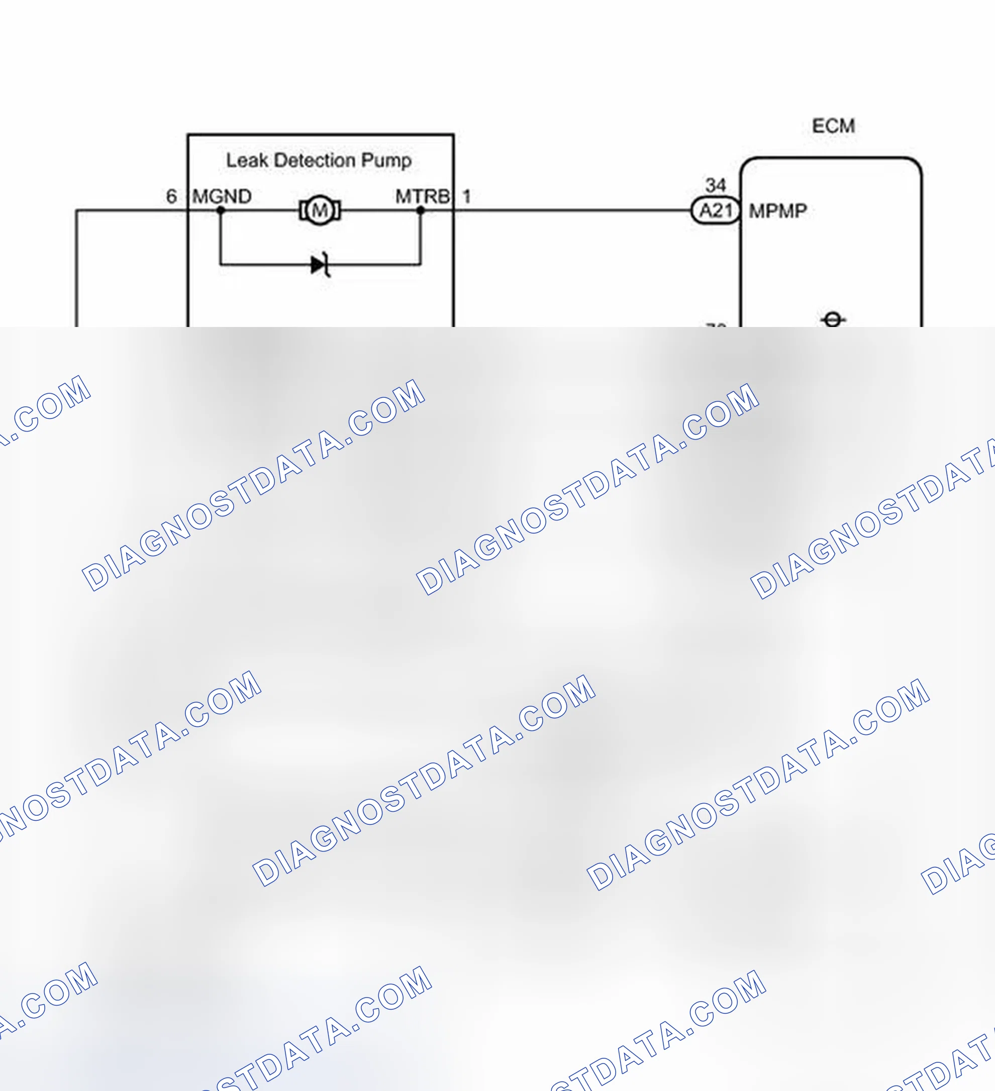 Scheme 446: WIRING DIAGRAM