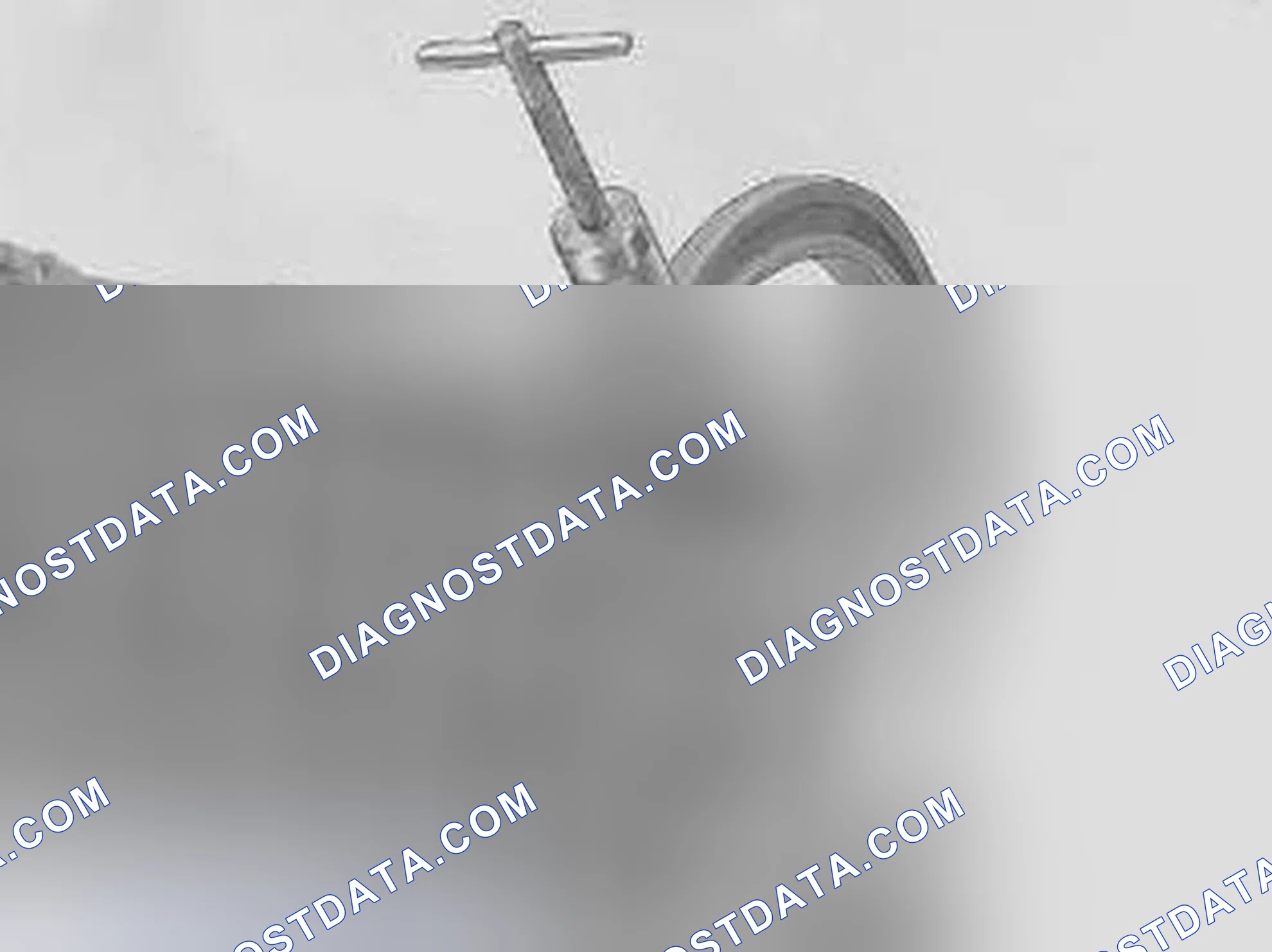 Scheme 447: Installing valve springs