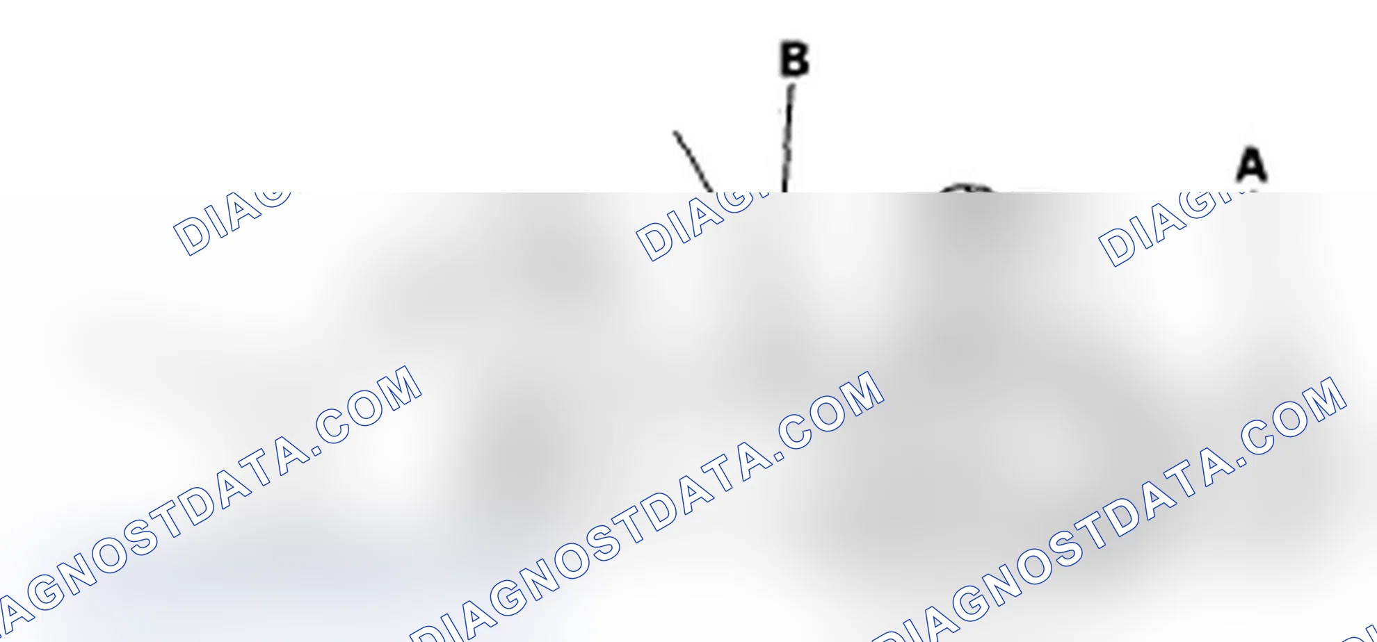Scheme 2: Radiator Cap Test