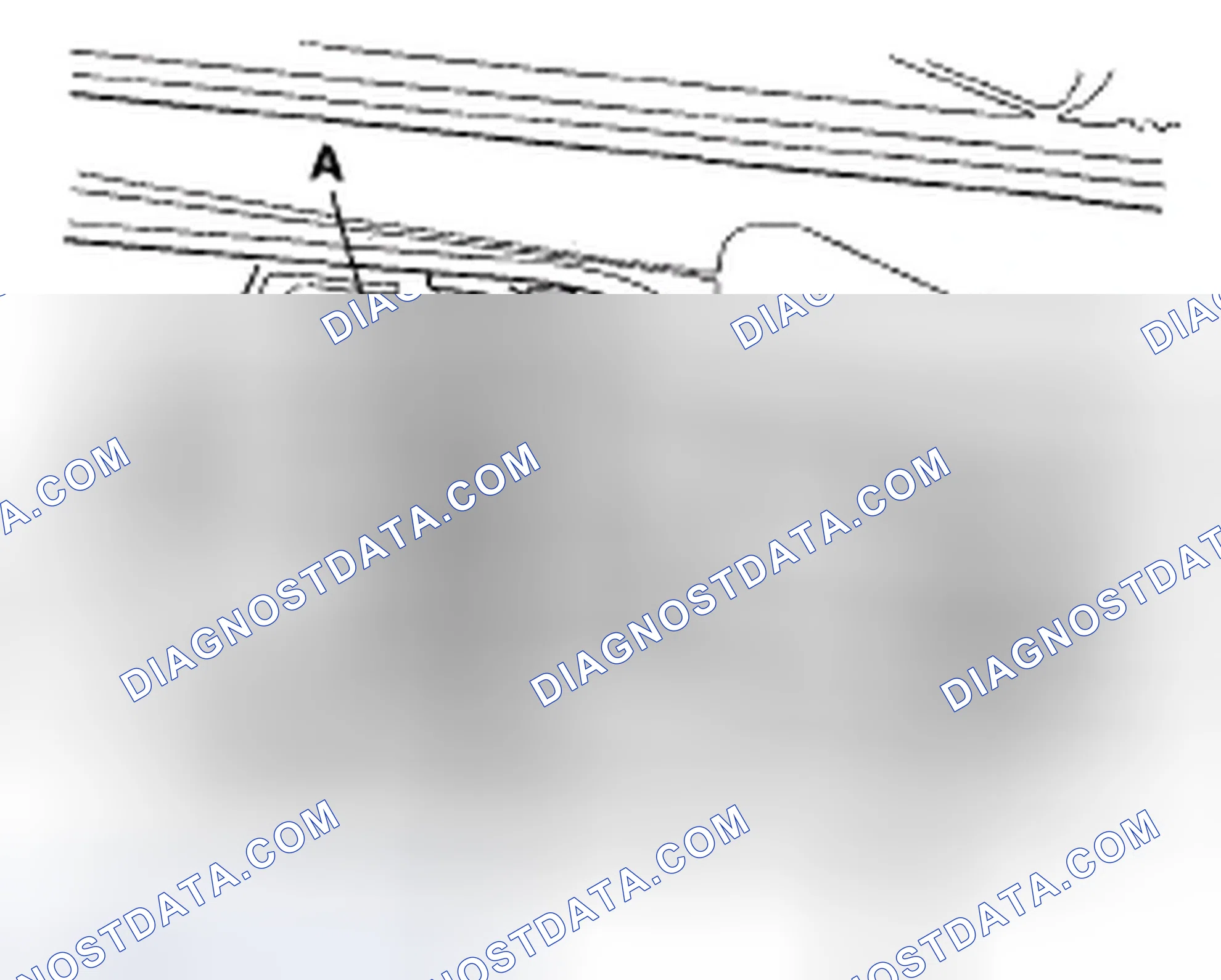 Scheme 187
