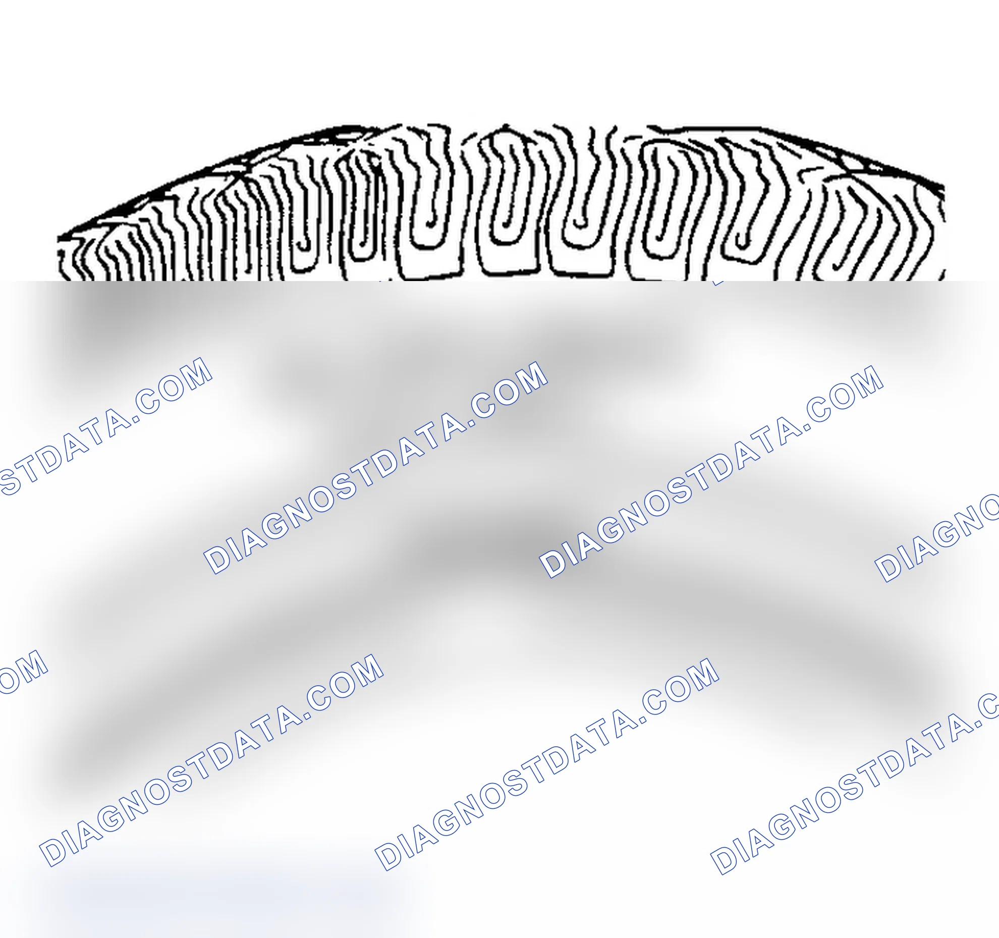 Scheme 5: All Seasons Tires Description