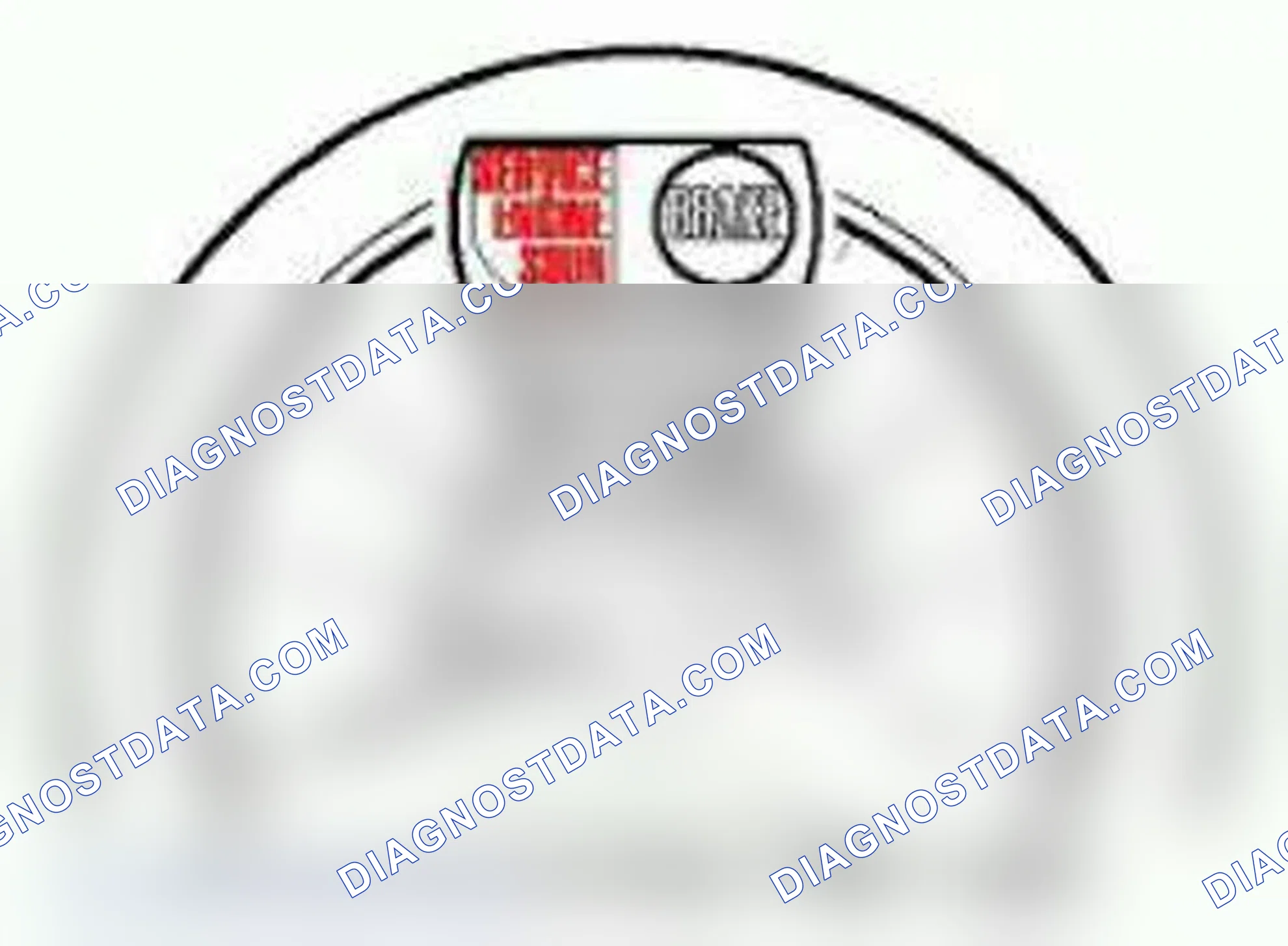 Scheme 202: Malfunction Indicator Light