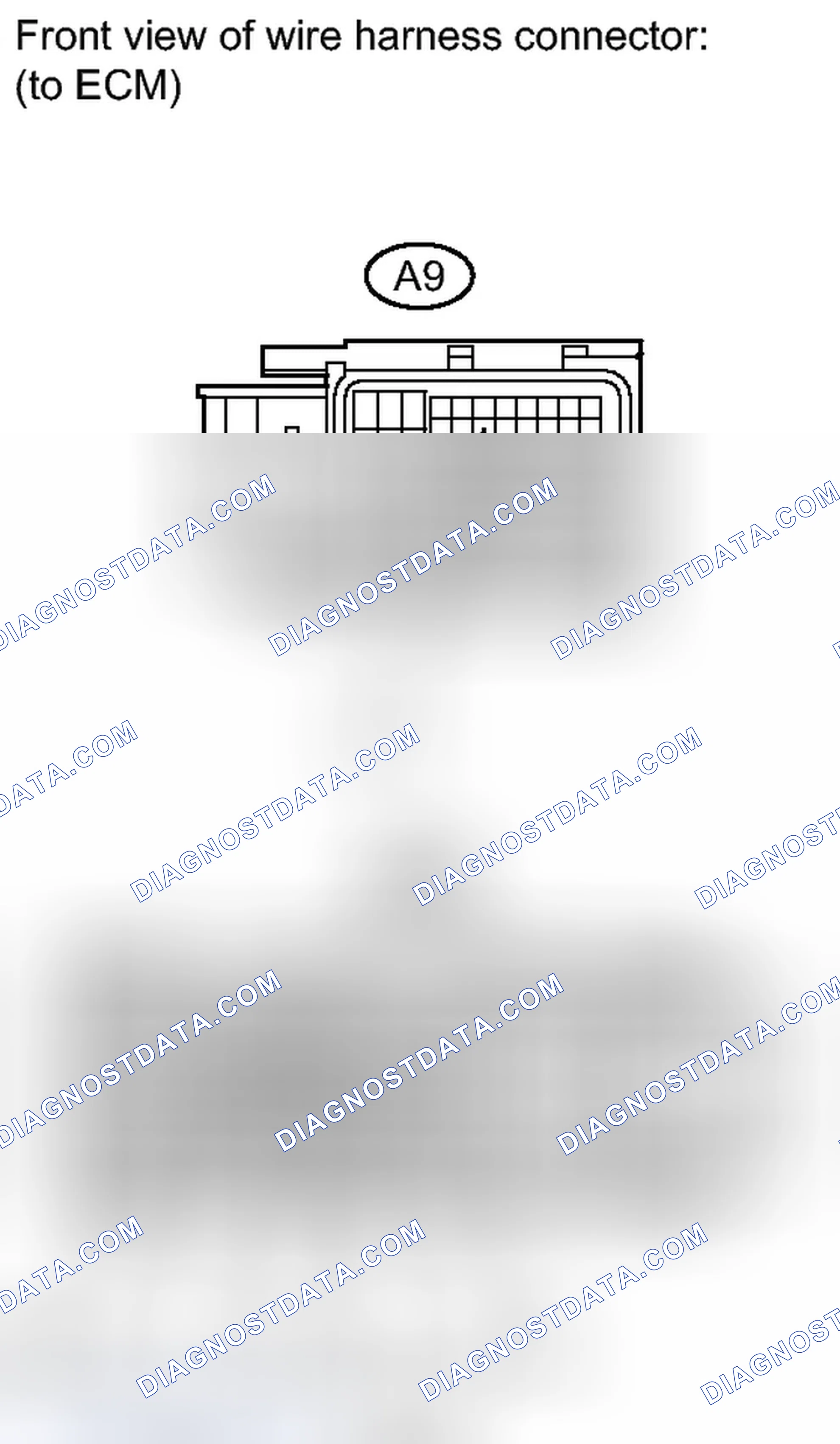 Scheme 1787