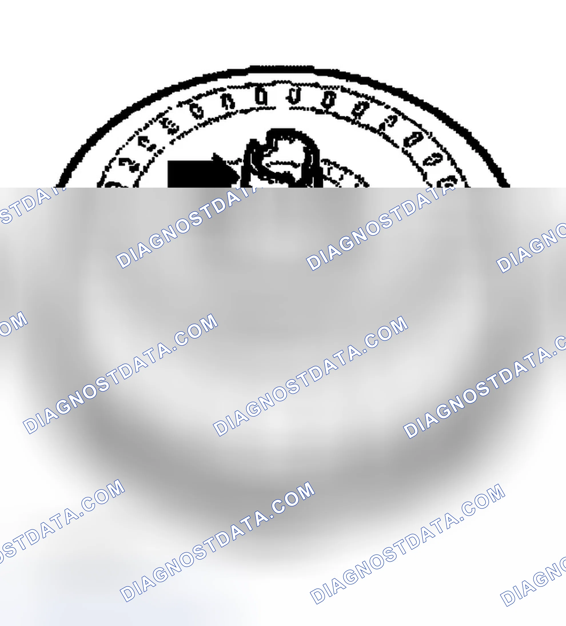 Scheme 366: TORQUE CONVERTER, CHECKING