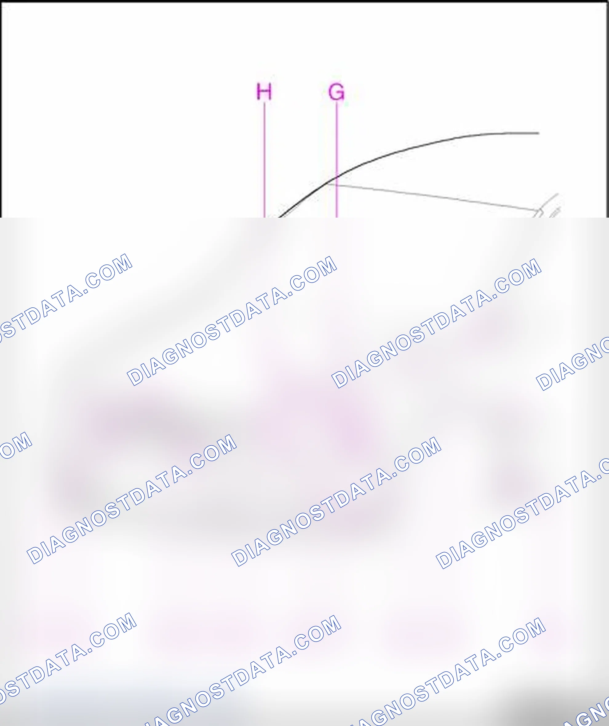 Scheme 7: Body, front