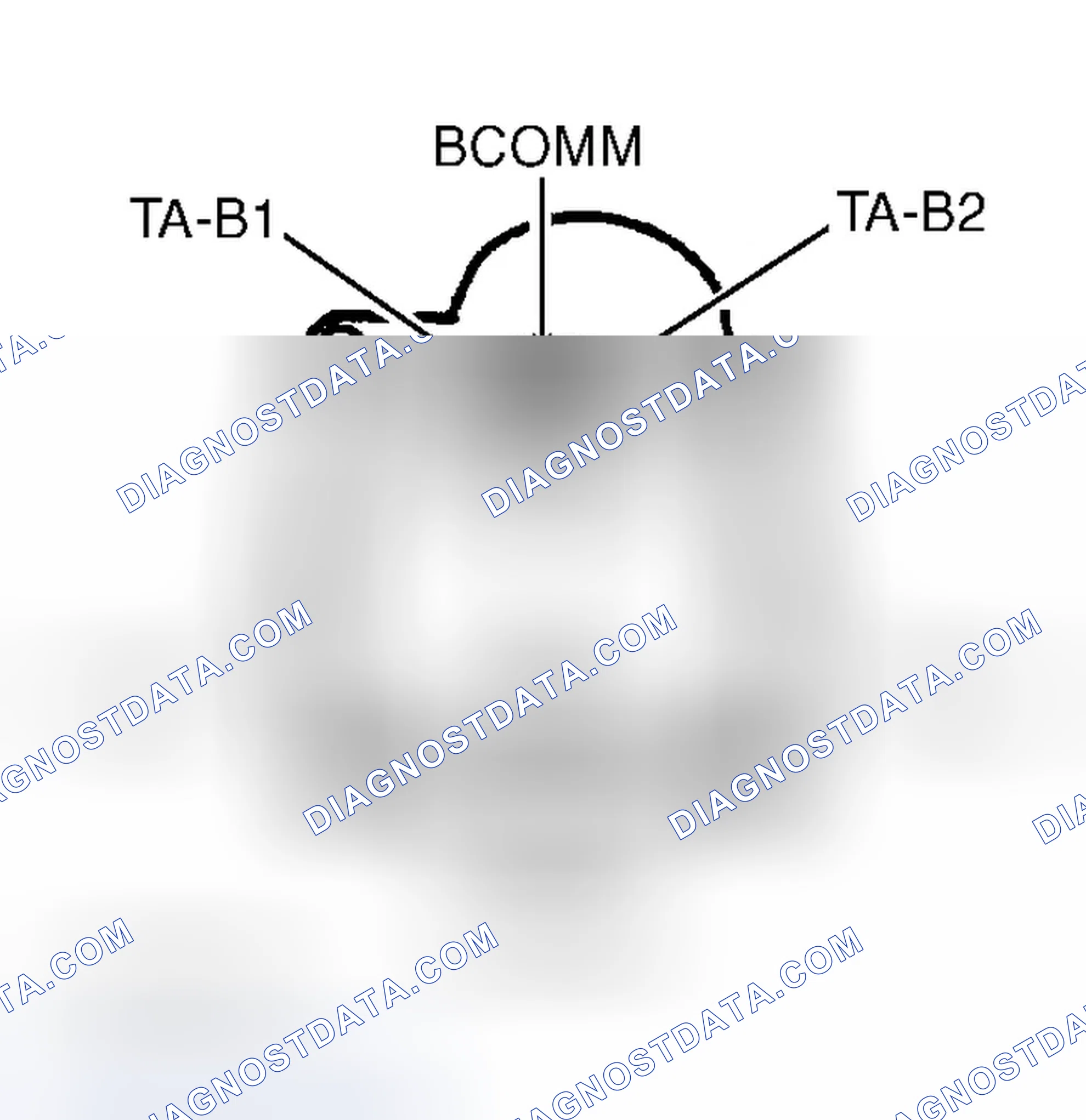 Scheme 229