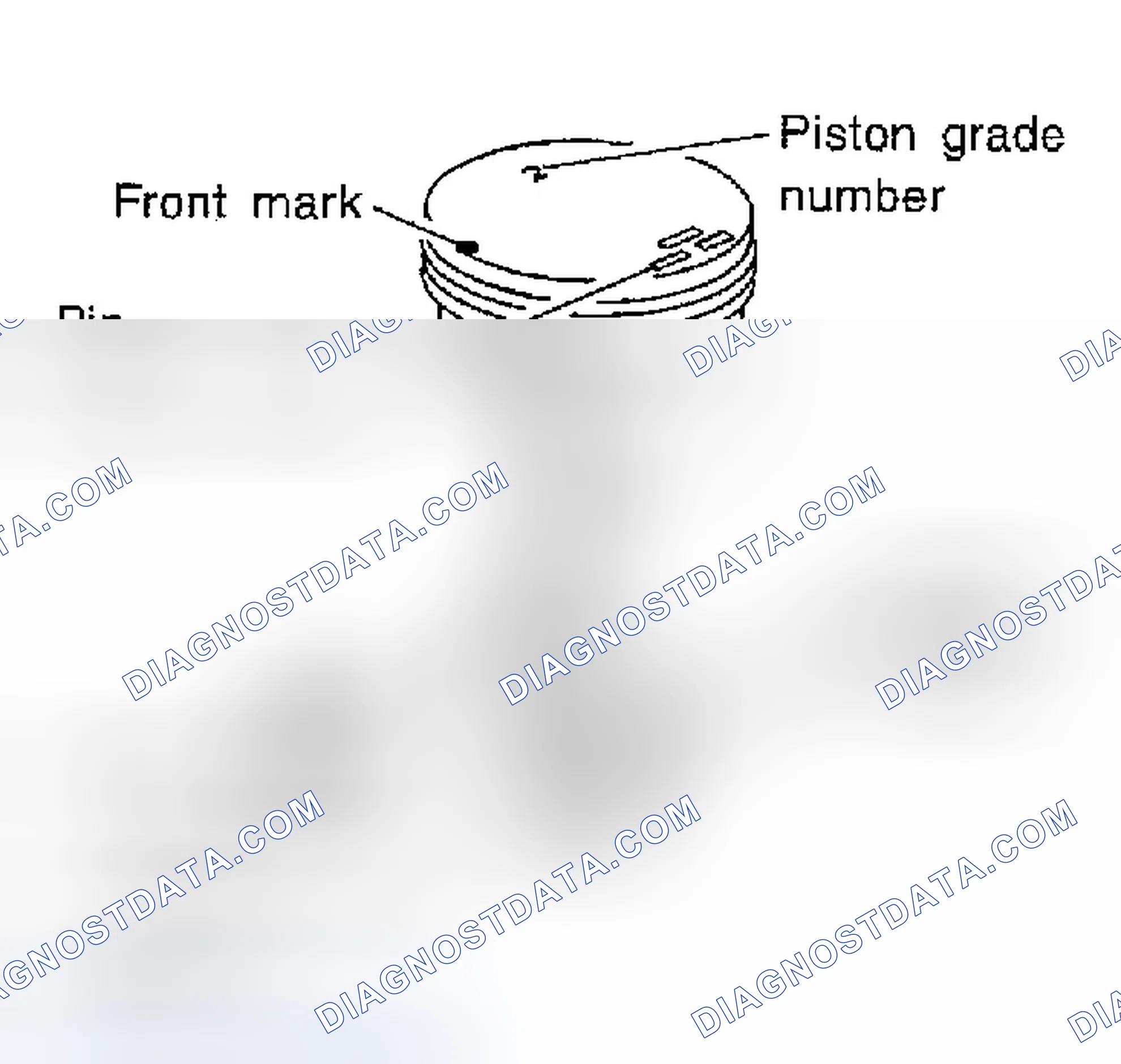 Scheme 257: Piston