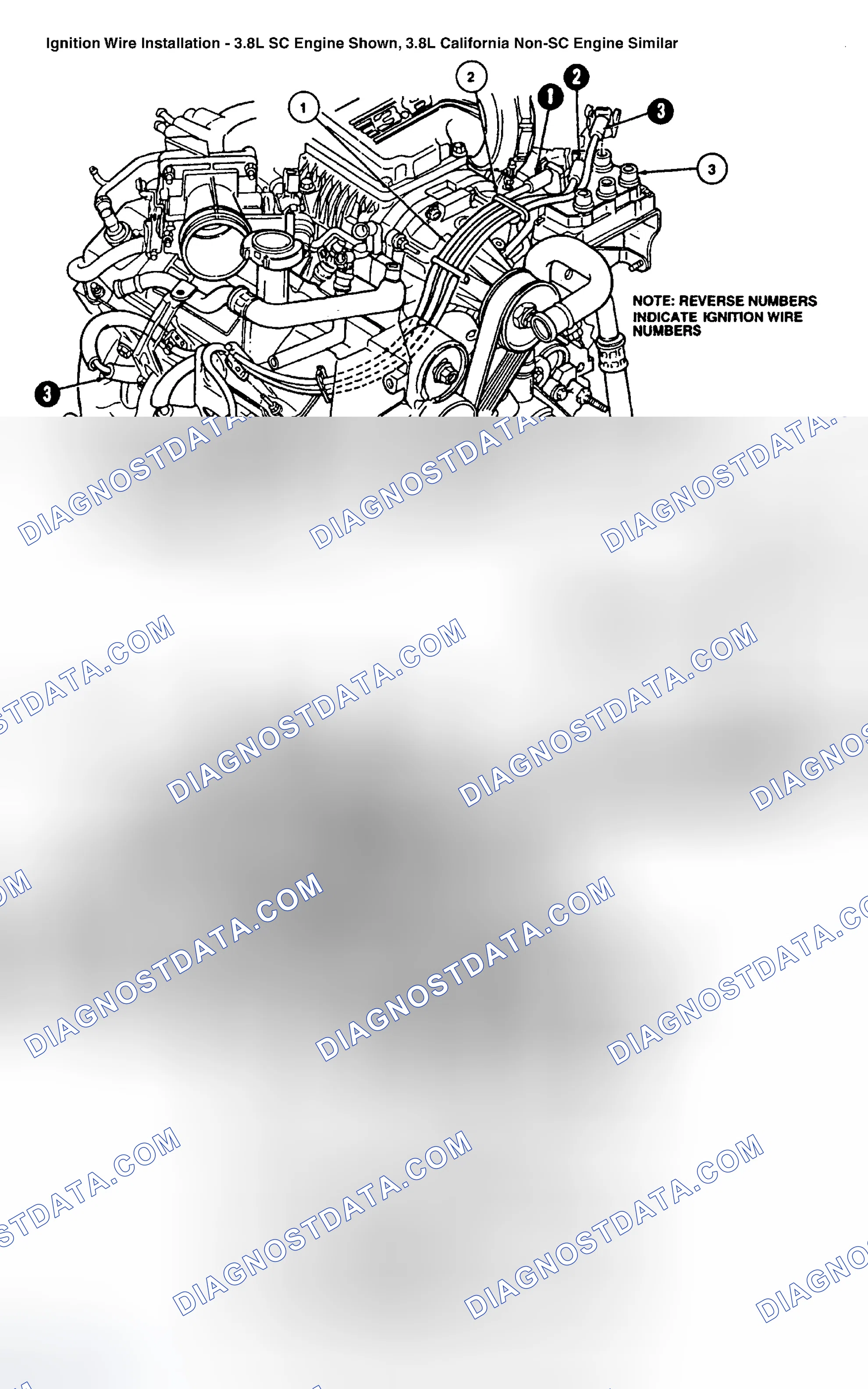 Scheme 4: Spark Plug Wire Routing (3.8L)