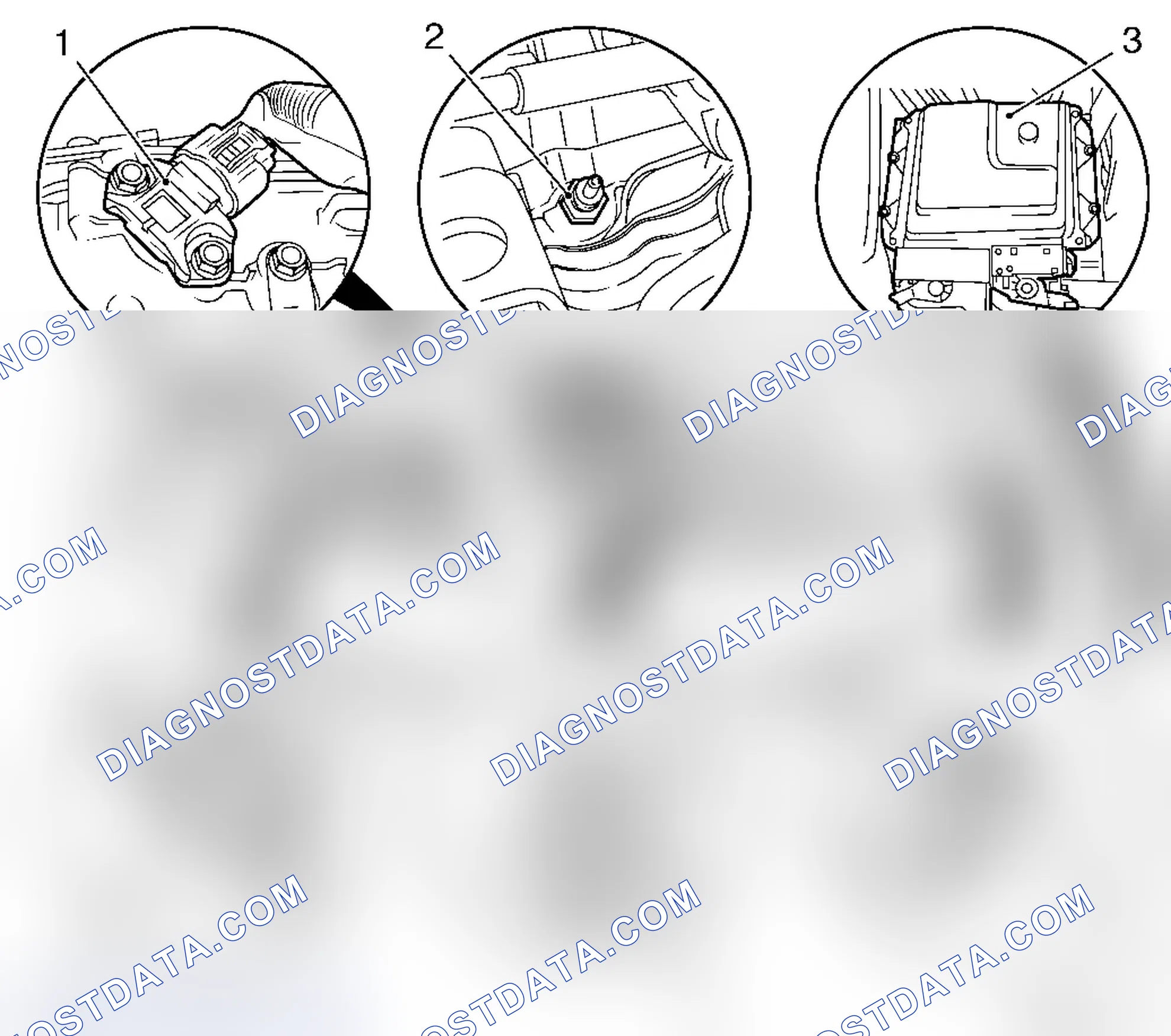 Engine Management Illustration