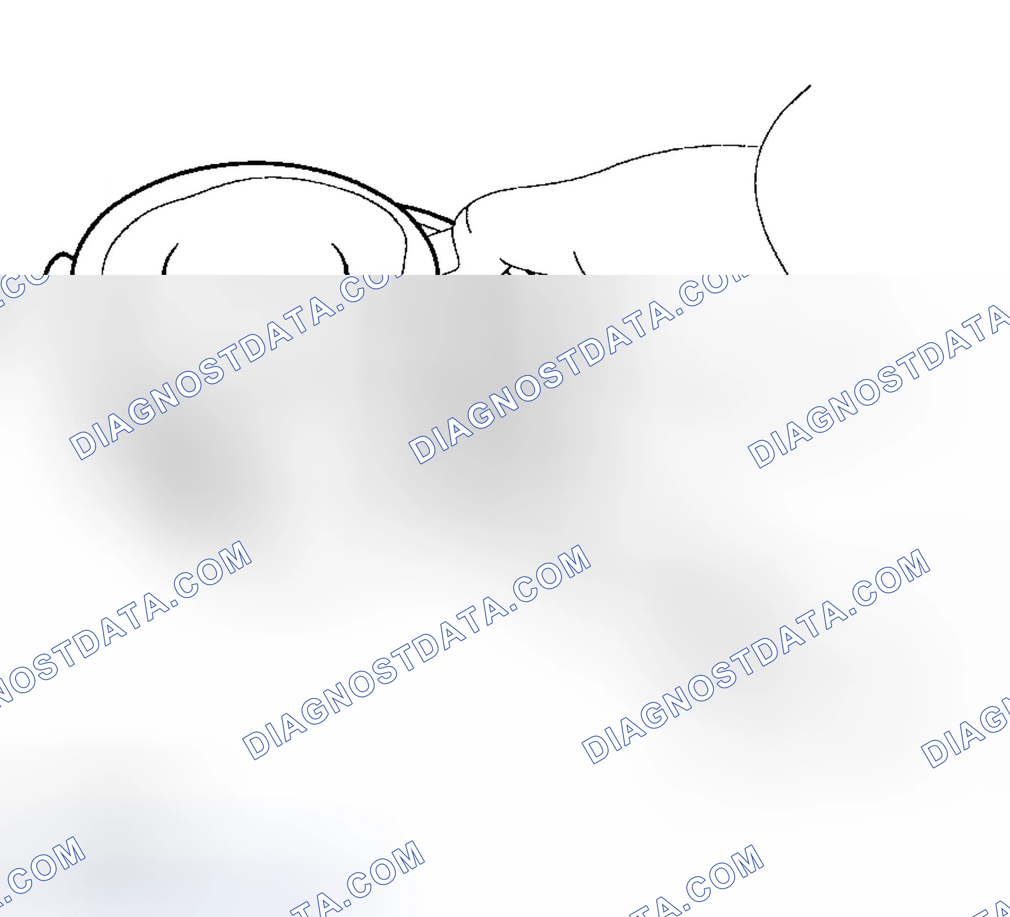 Scheme 376: PISTON AND RINGS