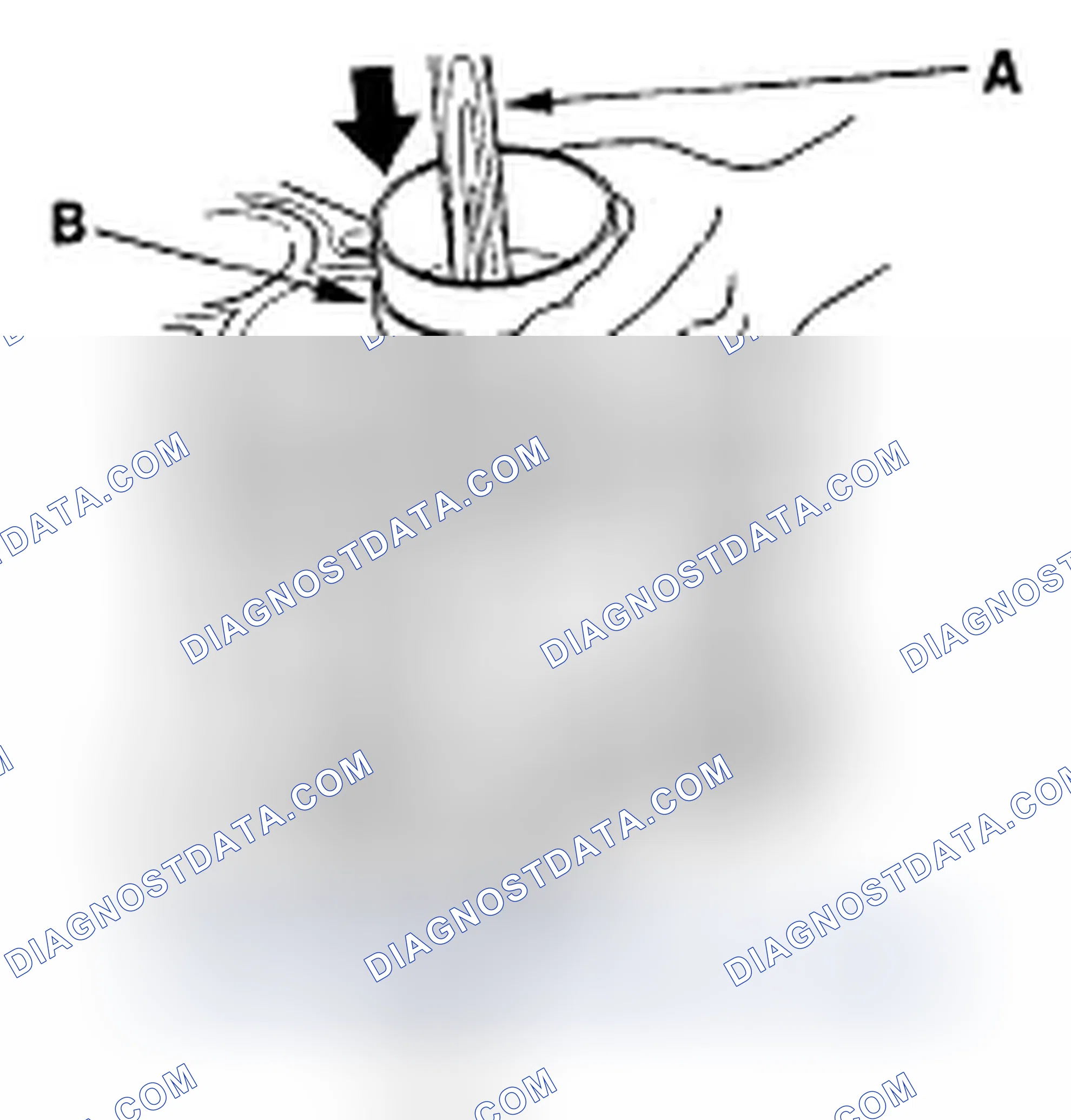 Scheme 245