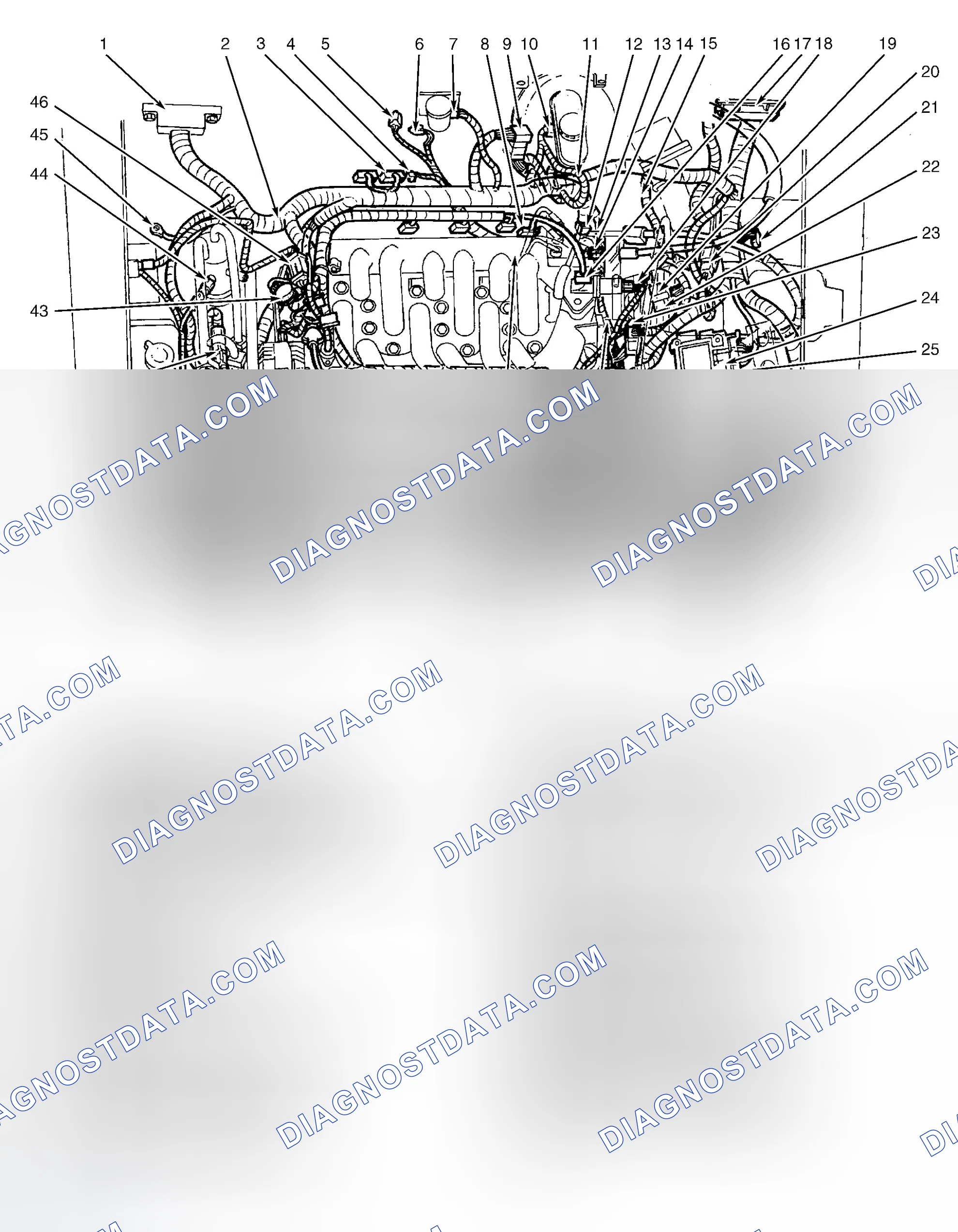 Scheme 2: Engine Compartment (3.8L)