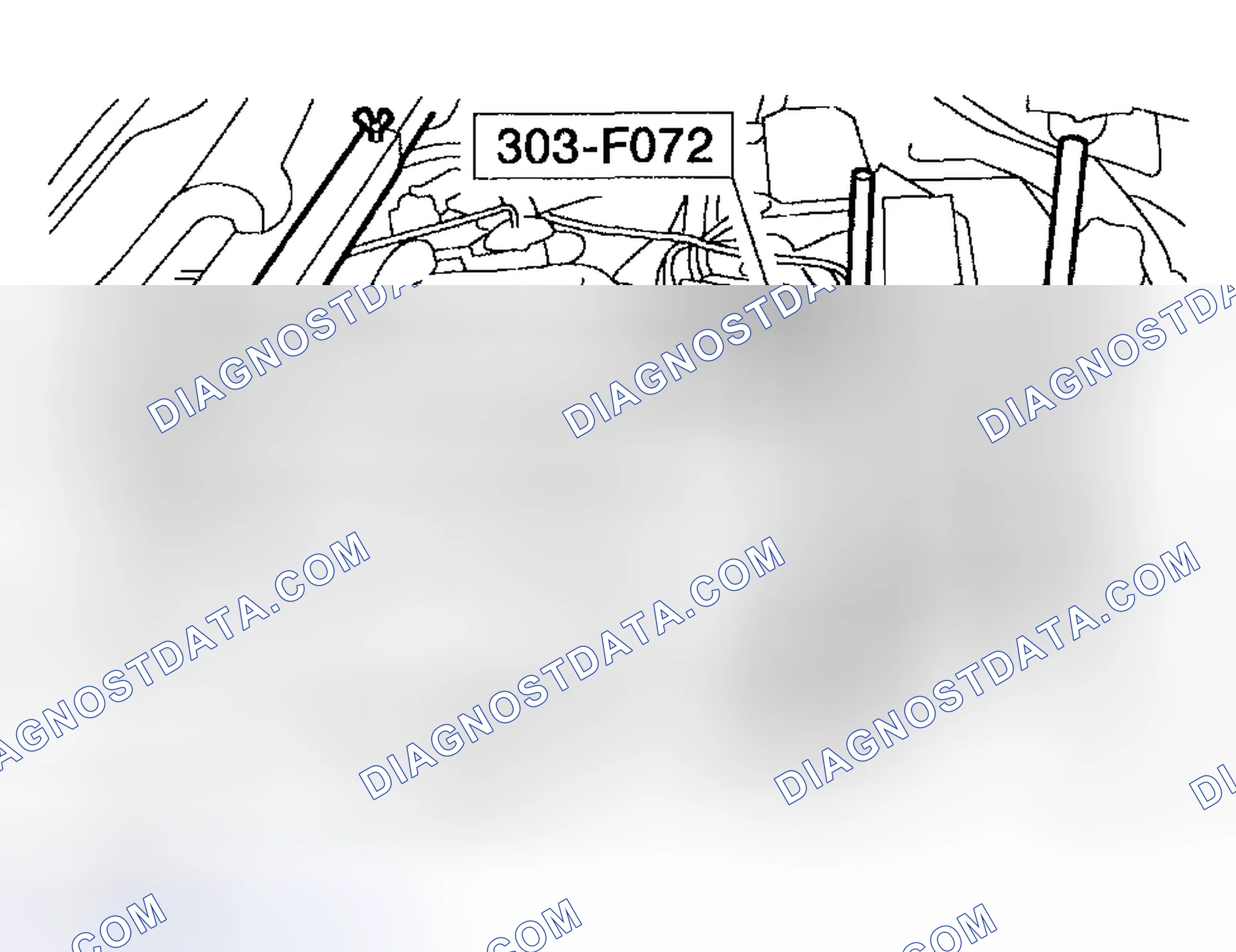 Scheme 891