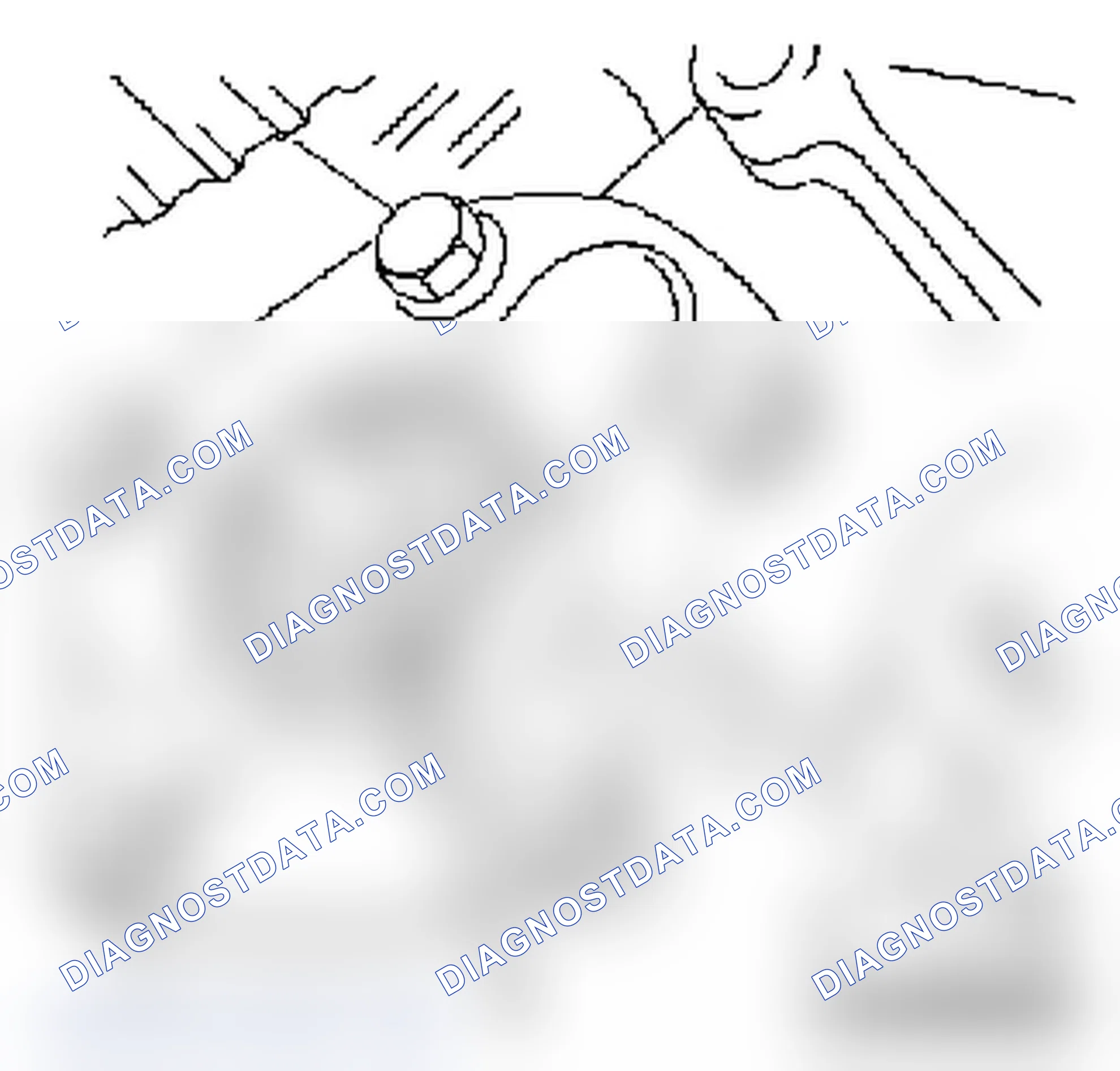 Replace Oil Pump Seal Ring-