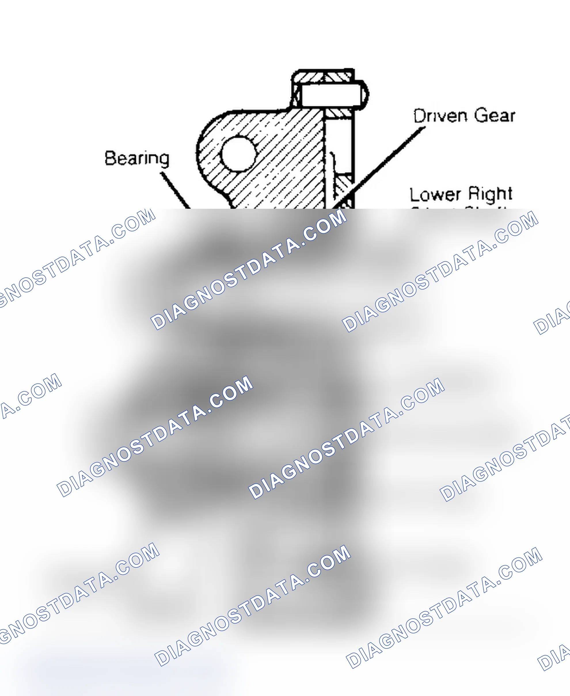 Scheme 12: Cutaway View of Gear Type Oil Pump