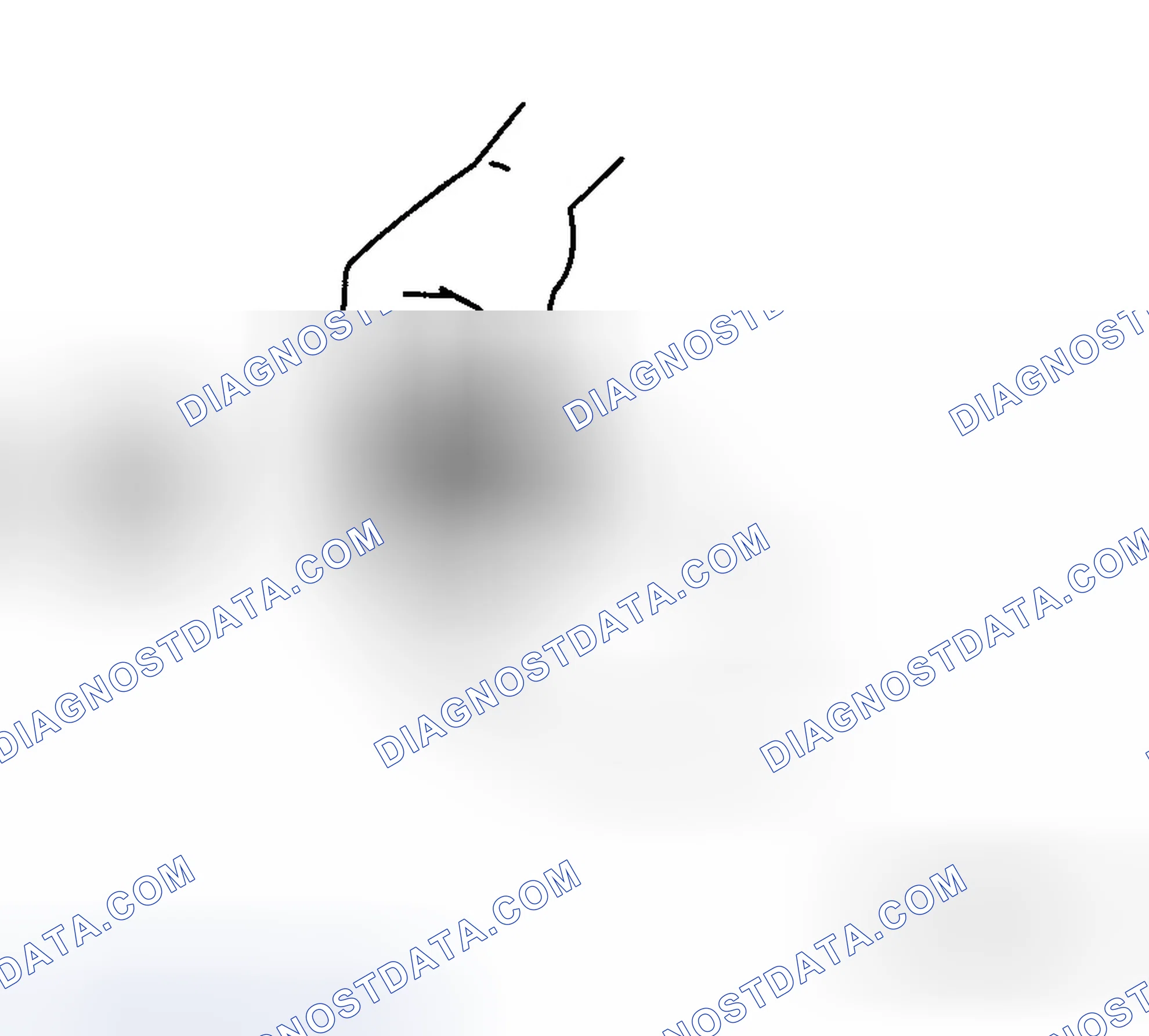 Scheme 22: Inspection During Removal, Disassembly