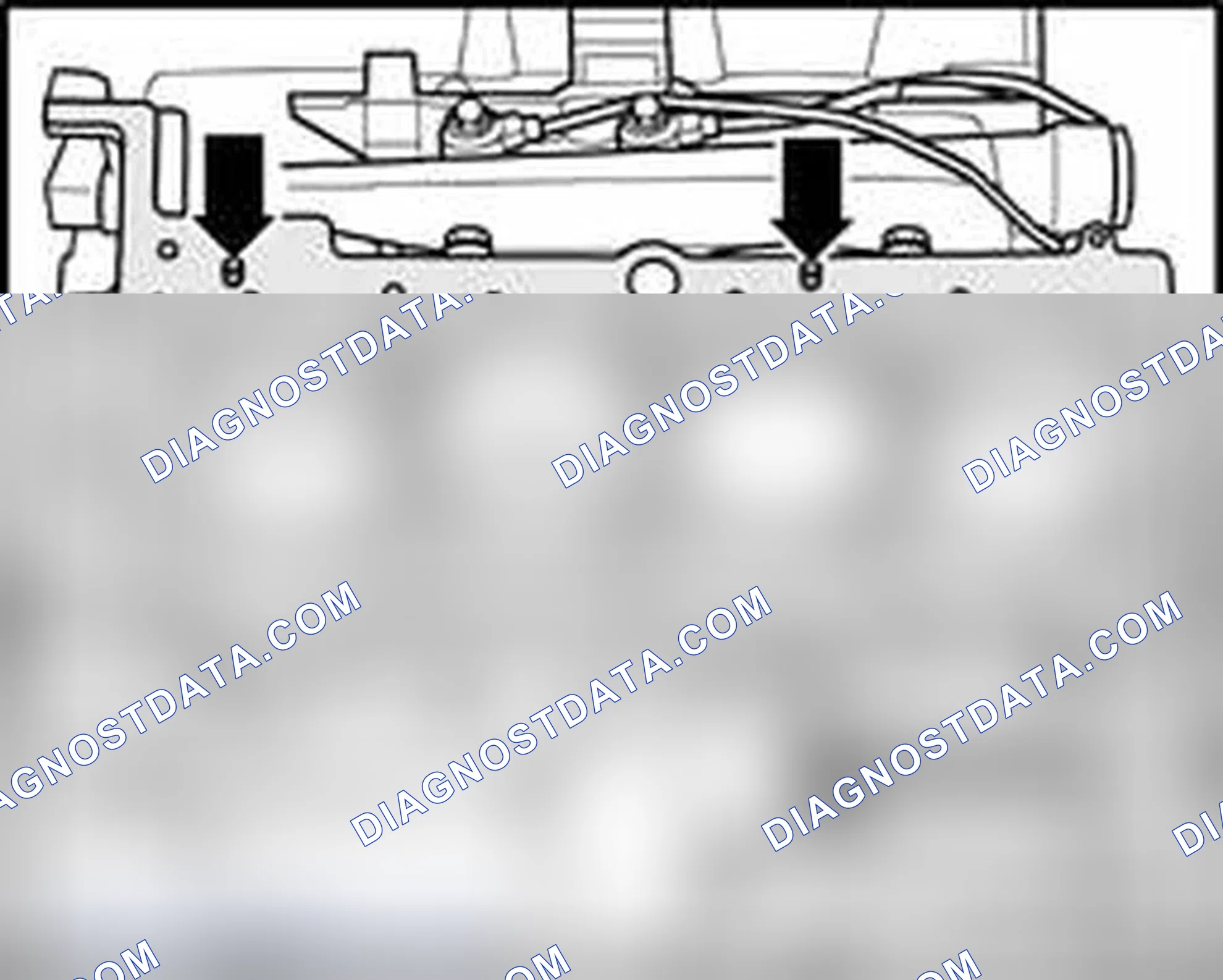 Scheme 381
