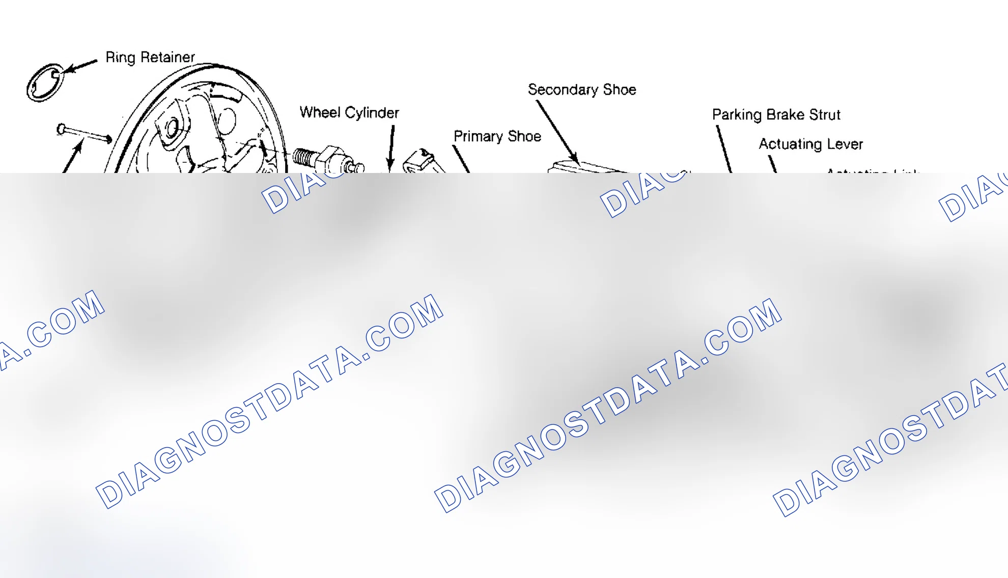 Scheme 9: Exploded View of Rear Drum Brake Assembly