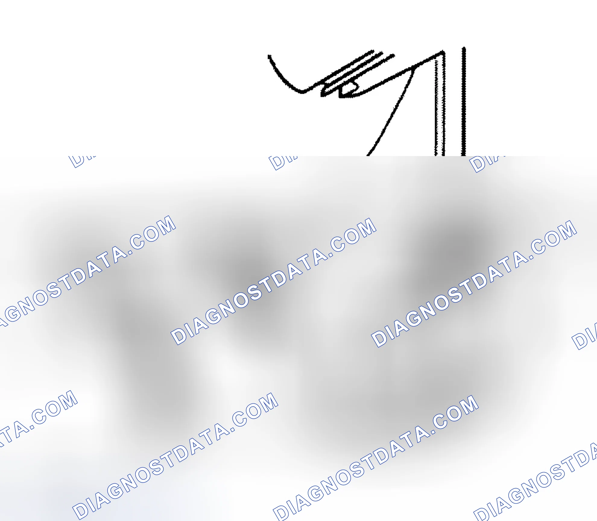 Scheme 5