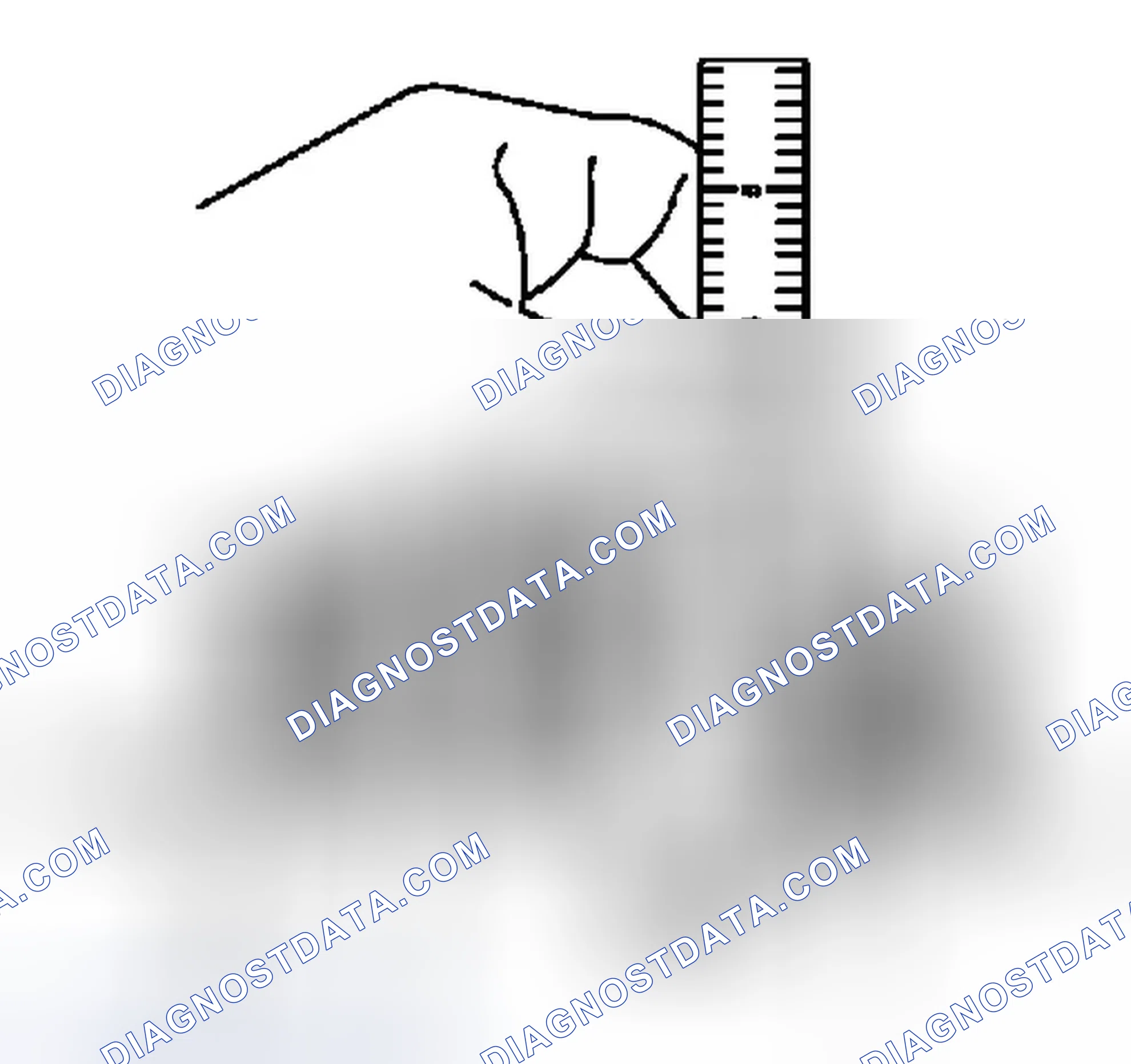 Scheme 660