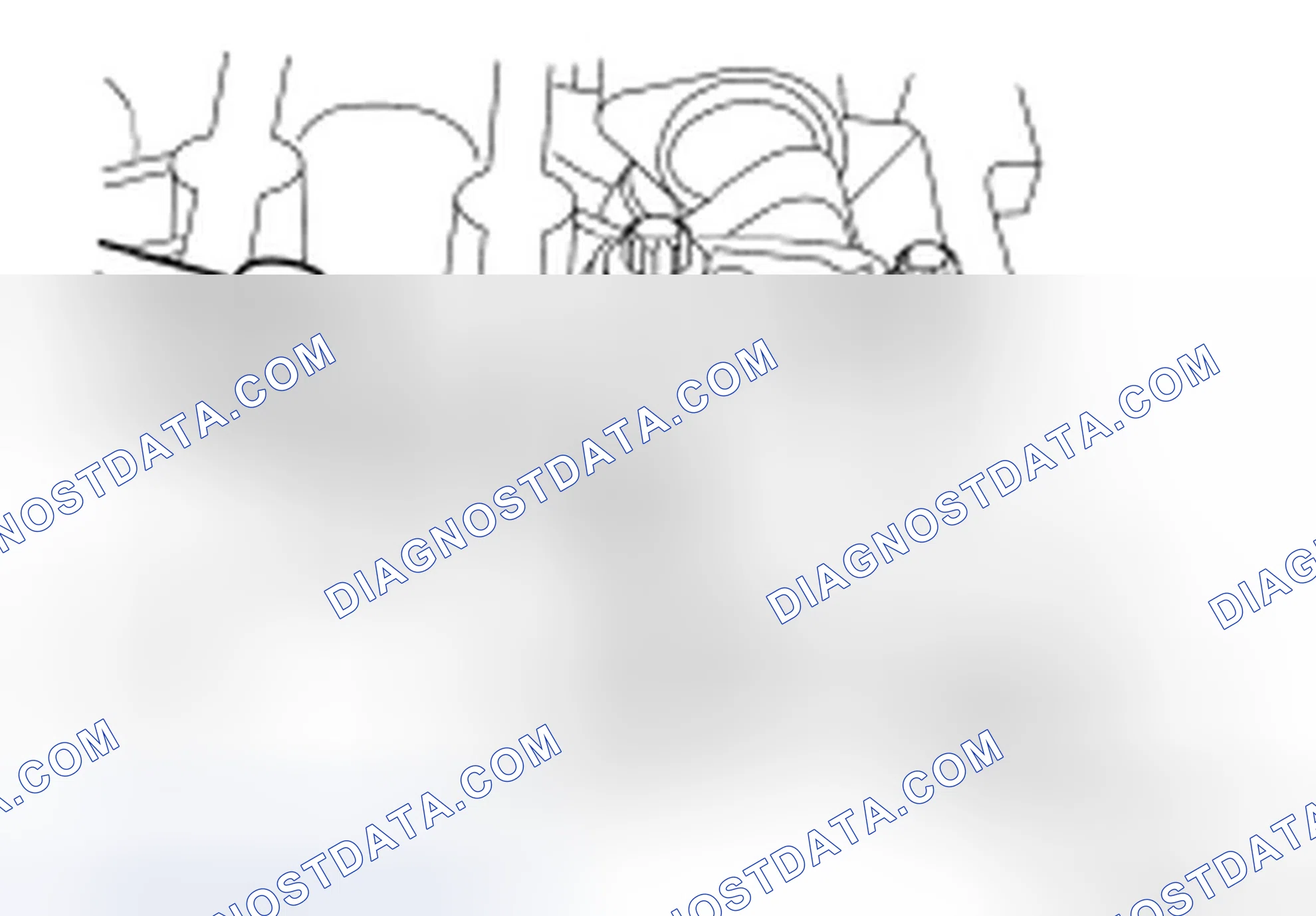 Scheme 231: Valve Clearance Check