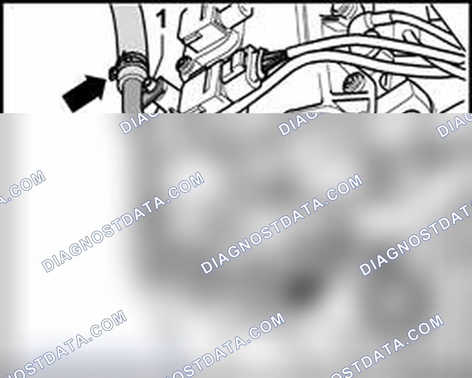 Scheme 344