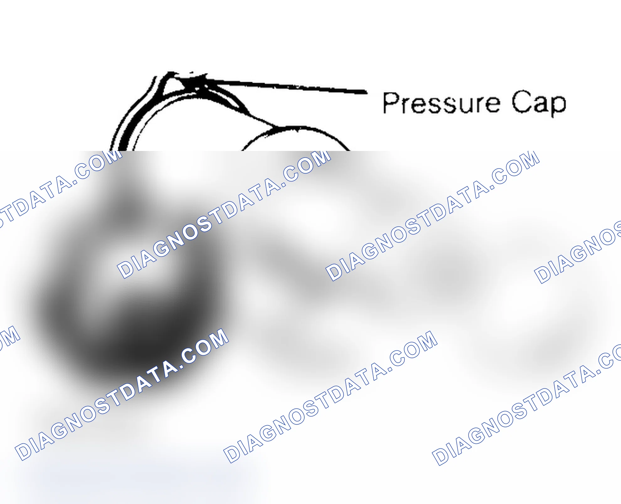 Scheme 2: Pressure Testing Radiator Cap