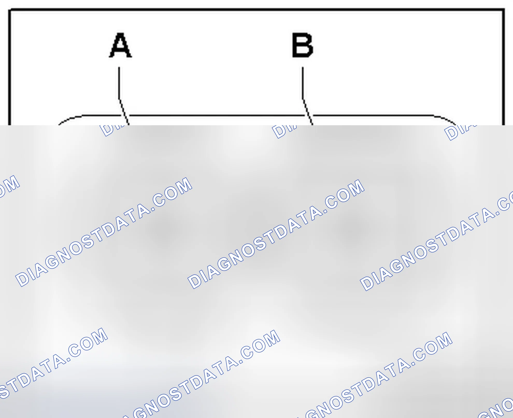 Scheme 244