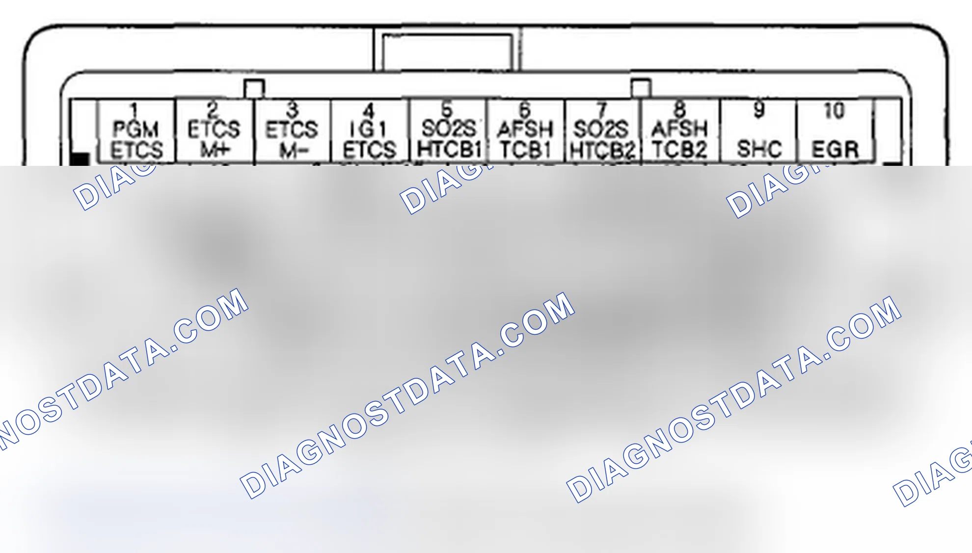 Scheme 219: PCM Inputs and Outputs at PCM Connector C (o) (49P)