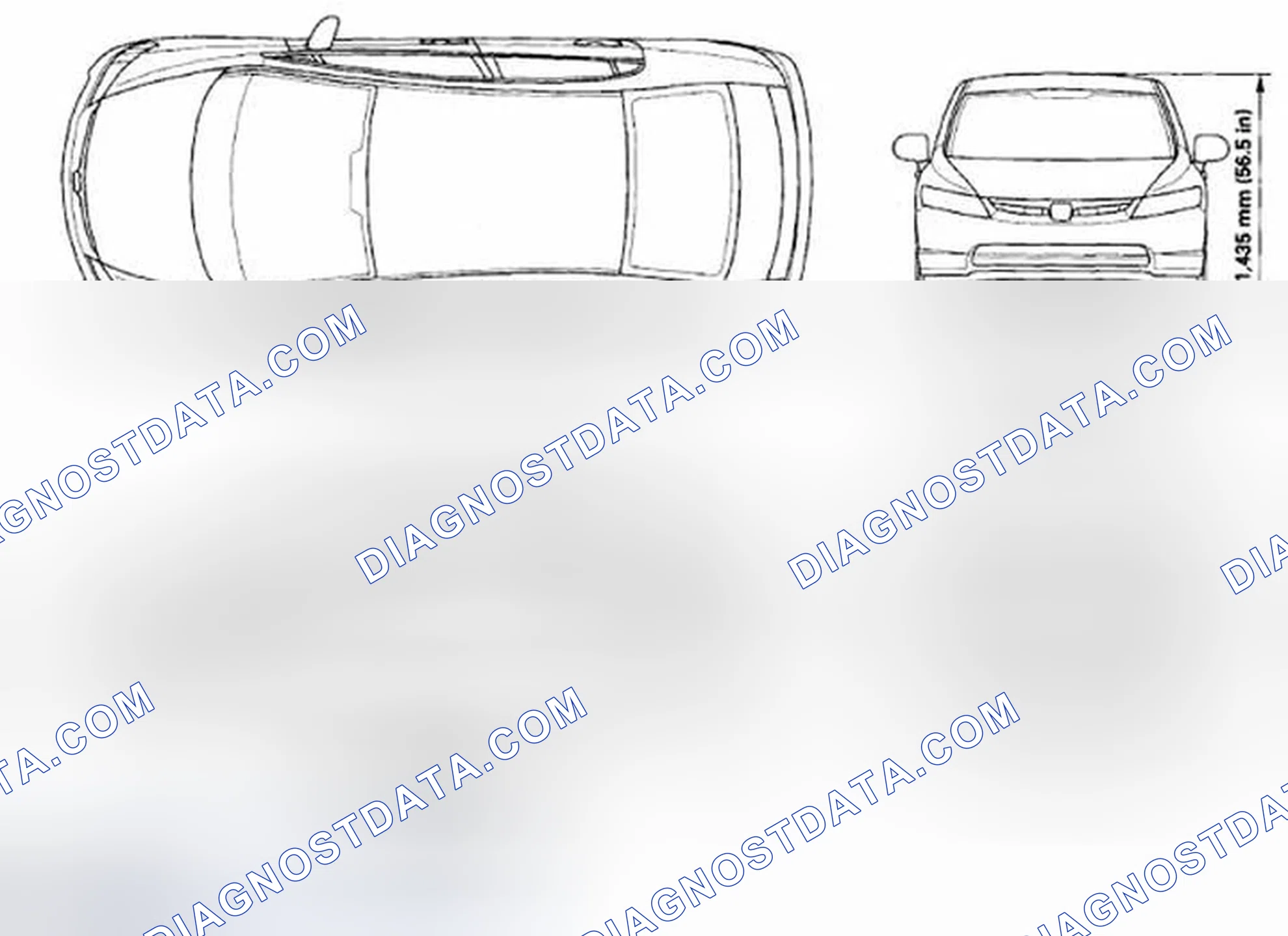 Scheme 306: Body Specifications