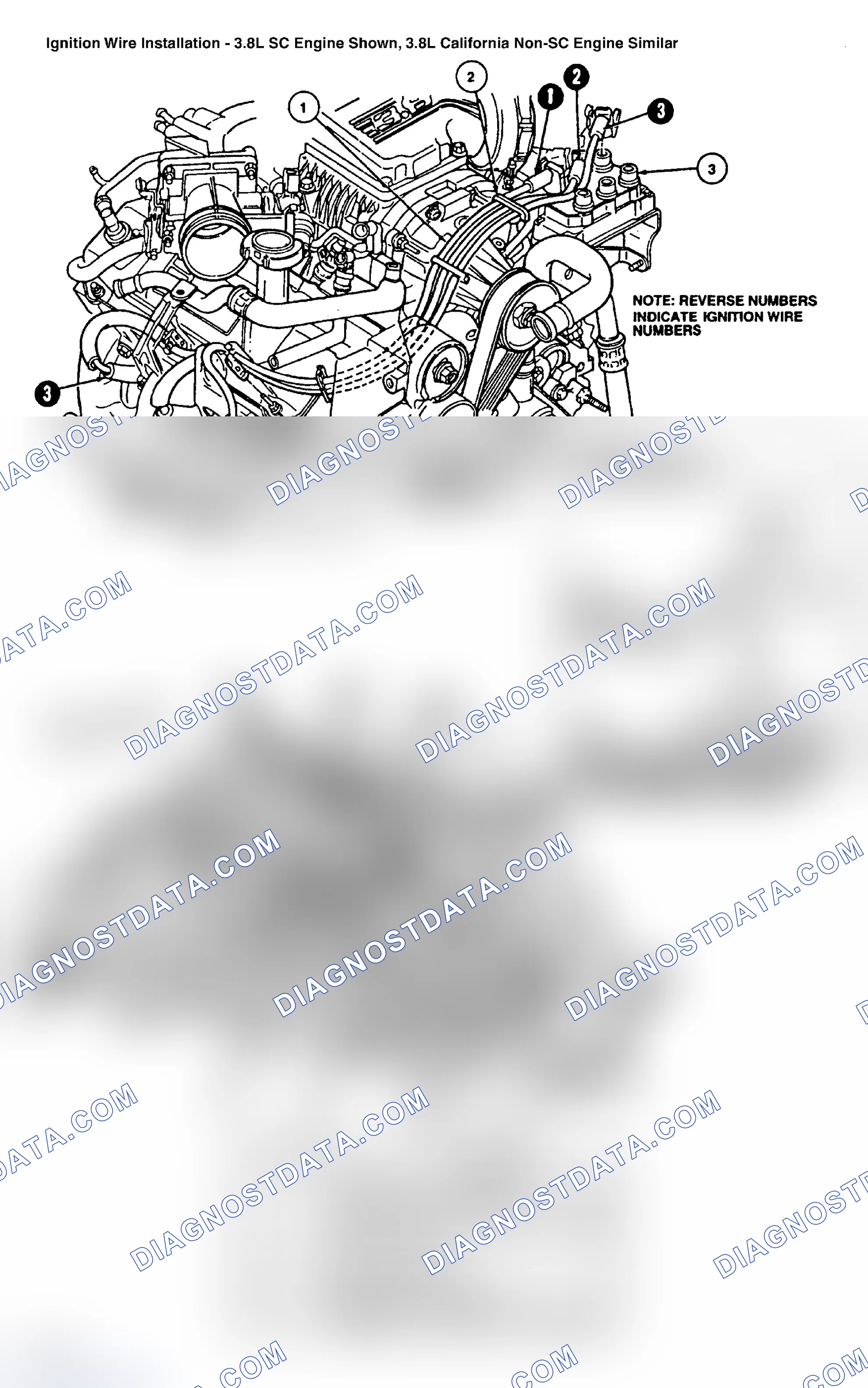 Scheme 7: Spark Plug Wire Routing (3.8L Thunderbird Supercharged)