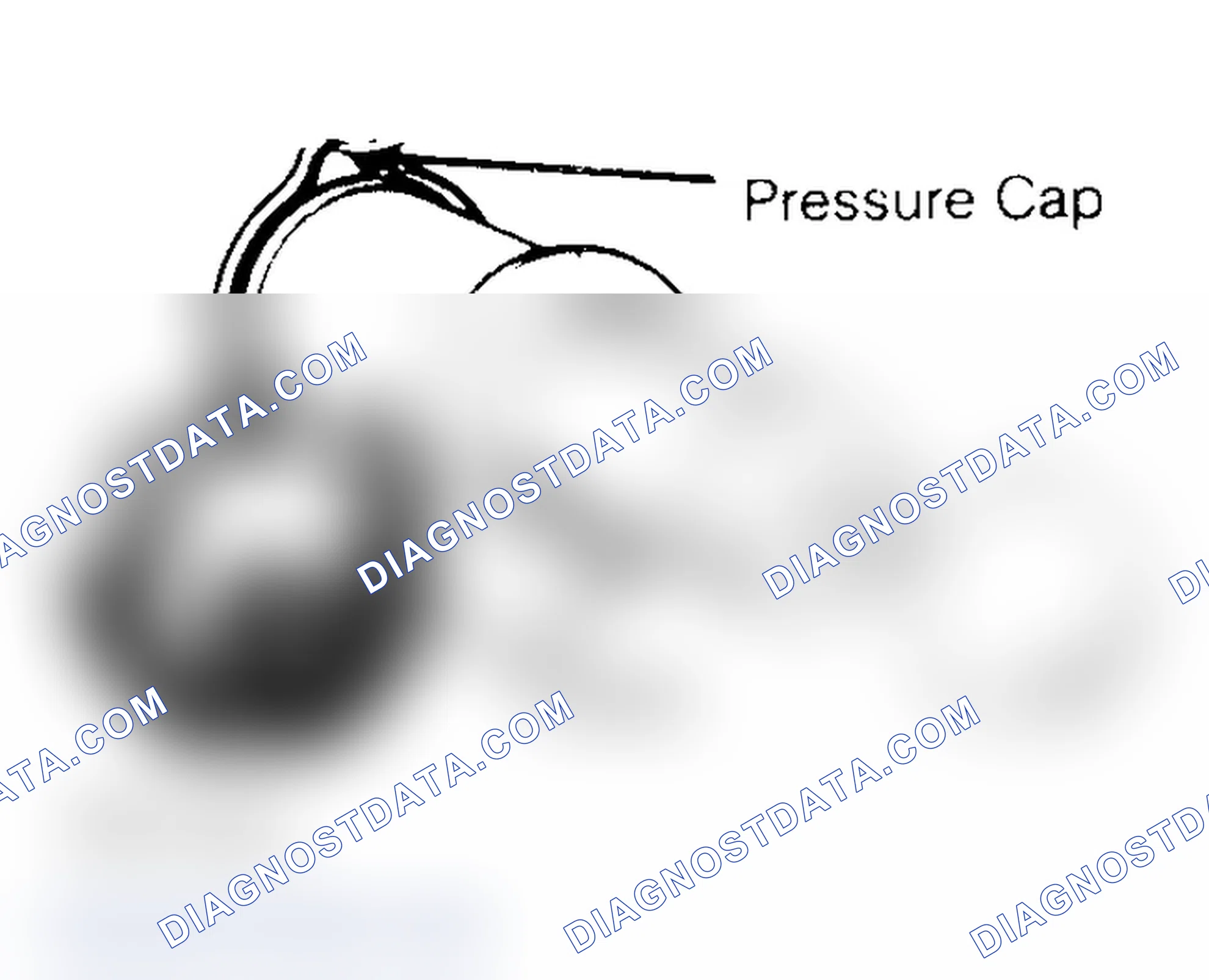 Scheme 2: Pressure Testing Radiator Cap