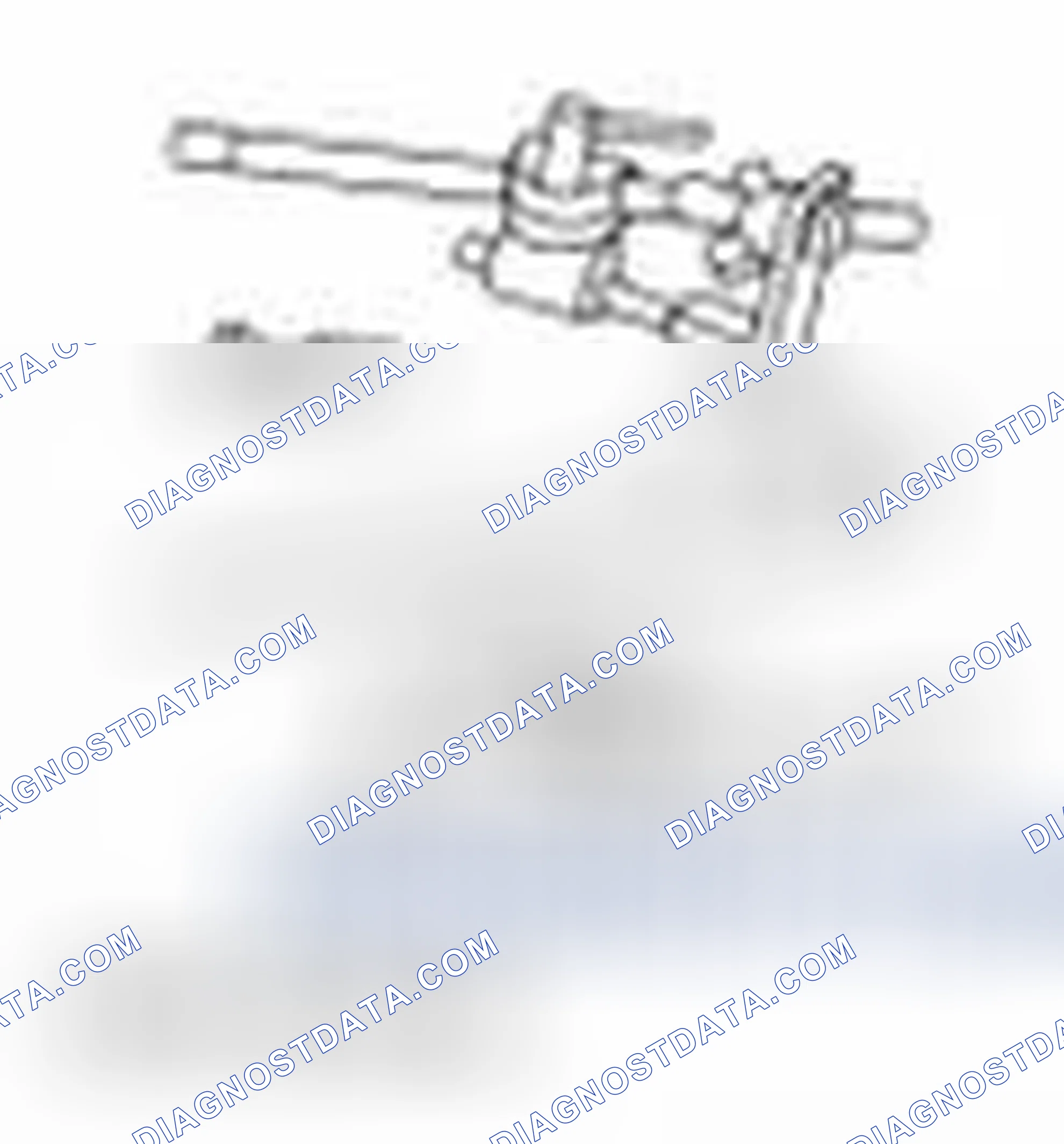 Scheme 2305