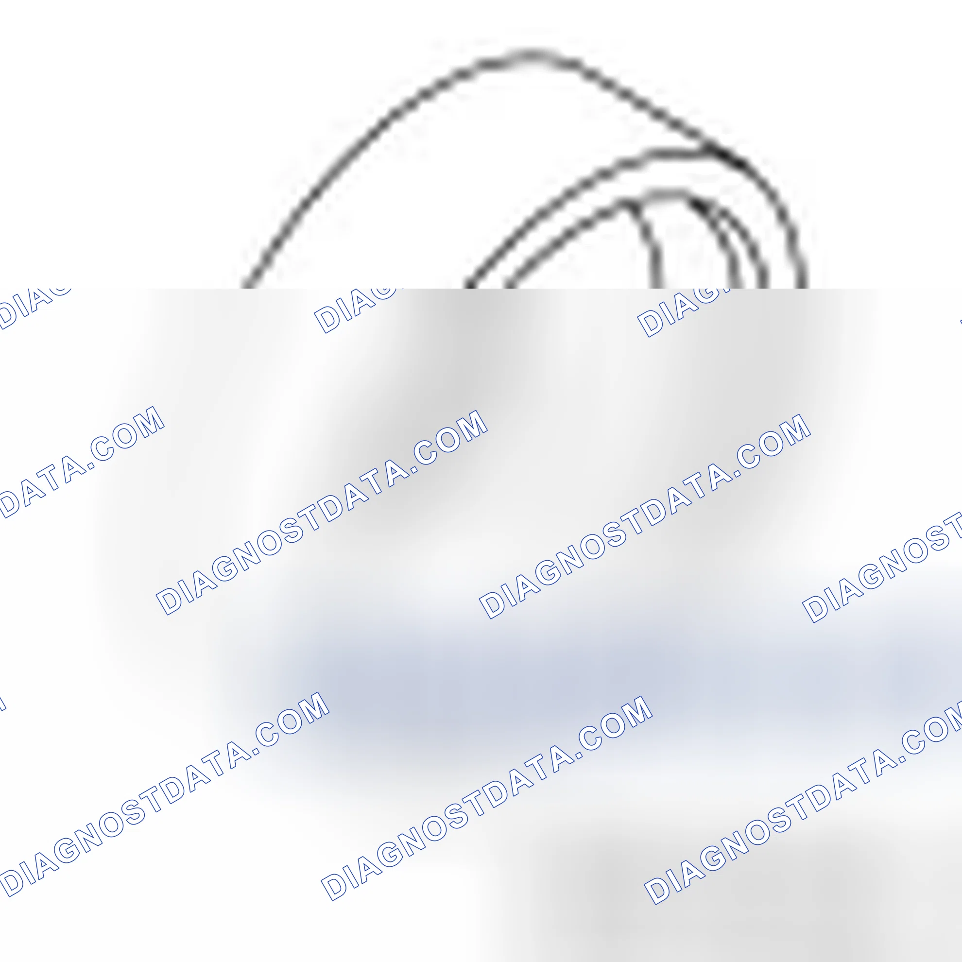 Scheme 49: Crankshaft Rear Seal