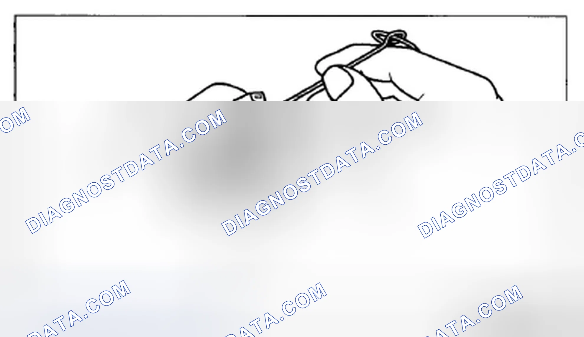 Scheme 109