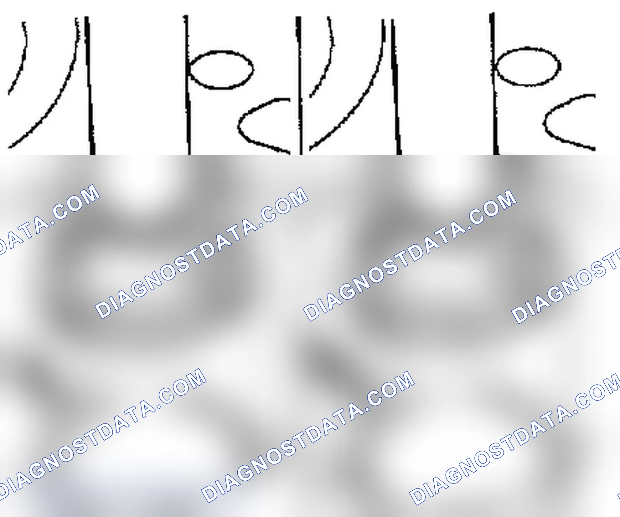 Valve Seat, Cut