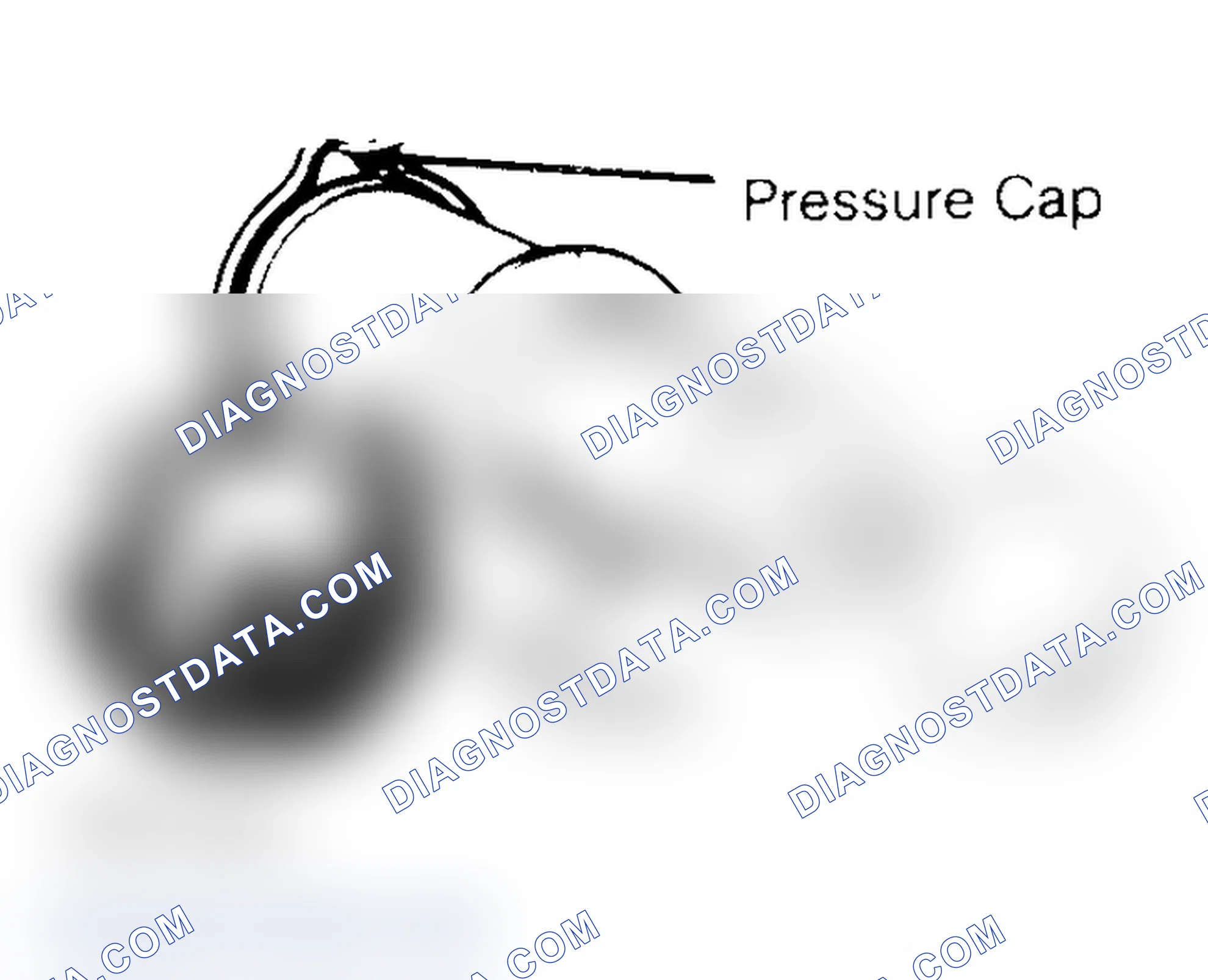 Scheme 2: Pressure Testing Radiator Cap