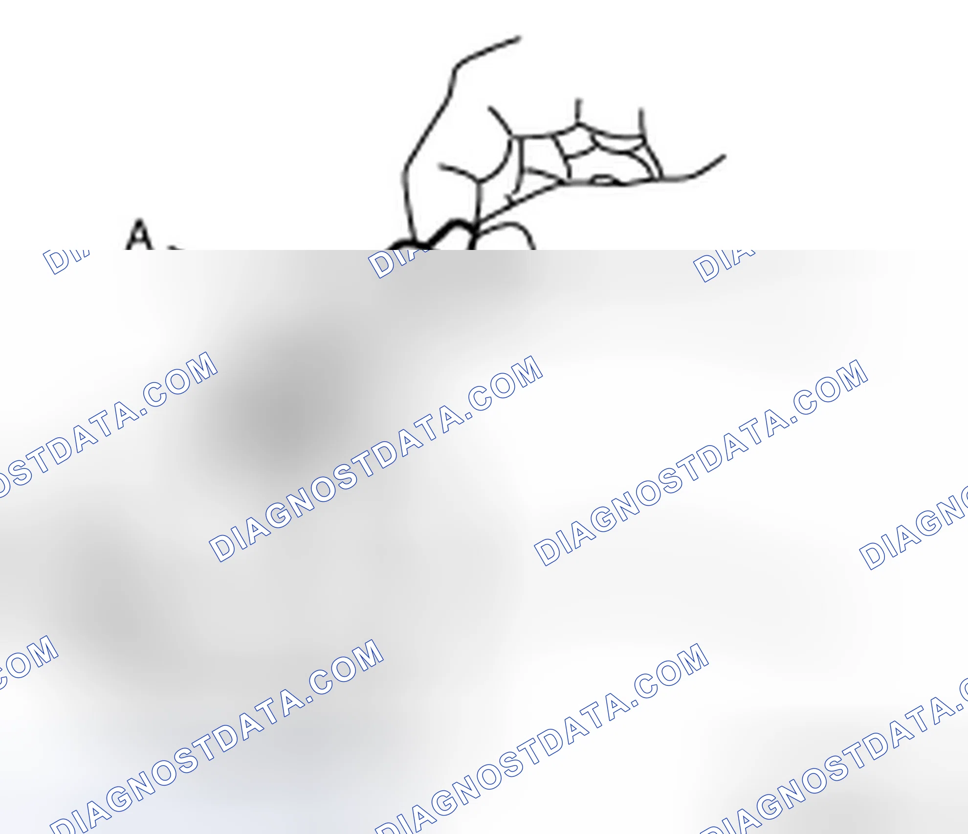 Scheme 14