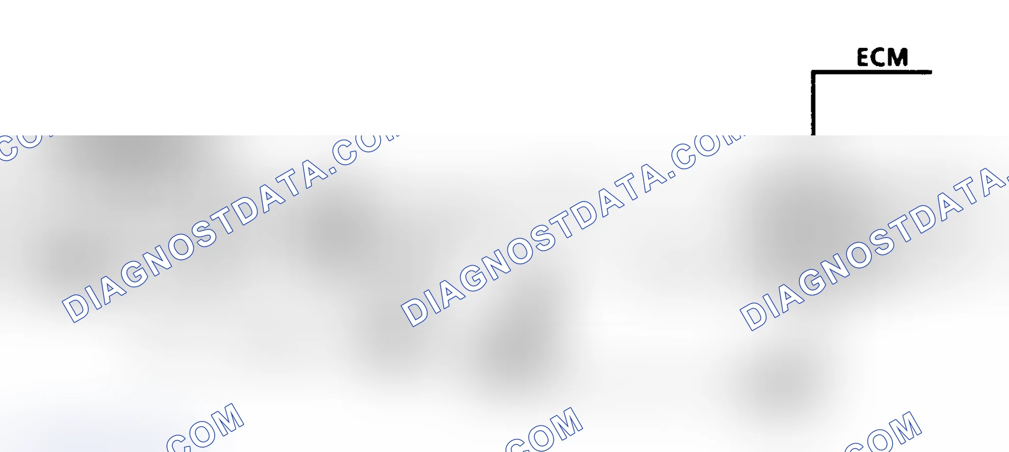 Scheme 316: CODE 44, Schematic, Lean Exhaust Indication (4.3L Turbo)